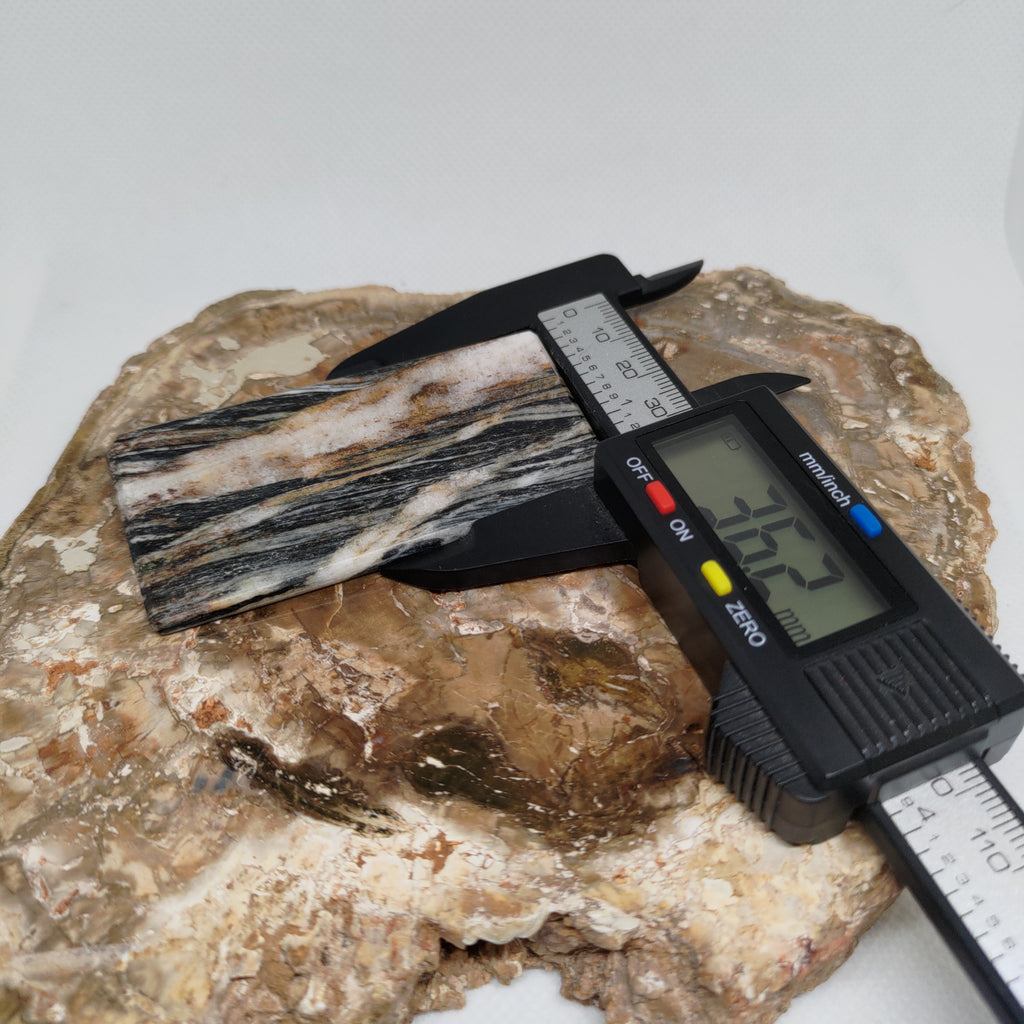 Hand Made New Zealand Schist With Quartz Inclusion Display Medium Slab Ref: 0116