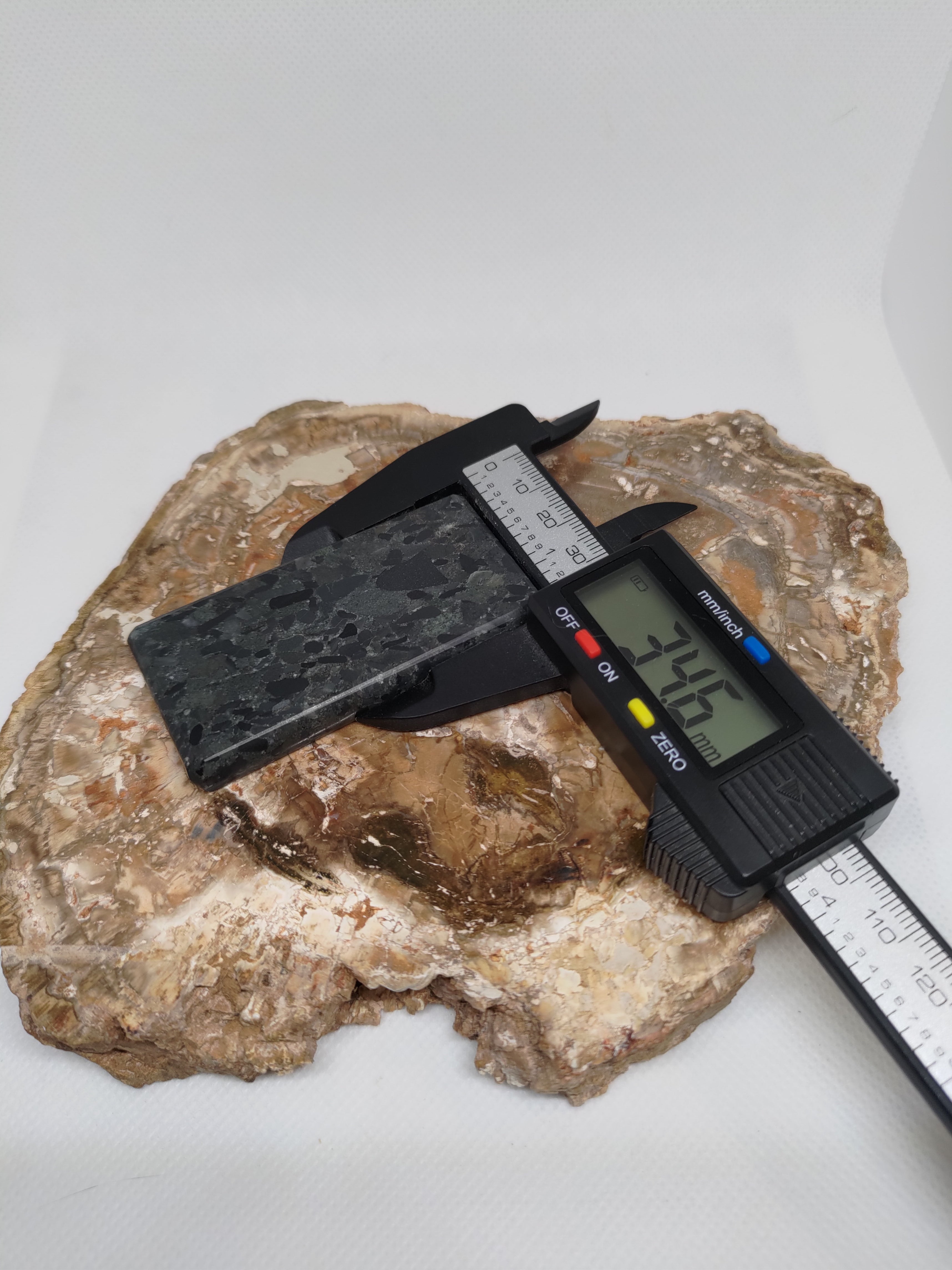 Hand Made New Zealand Conglomerate Stone Display Slab (Medium) Ref: 0133