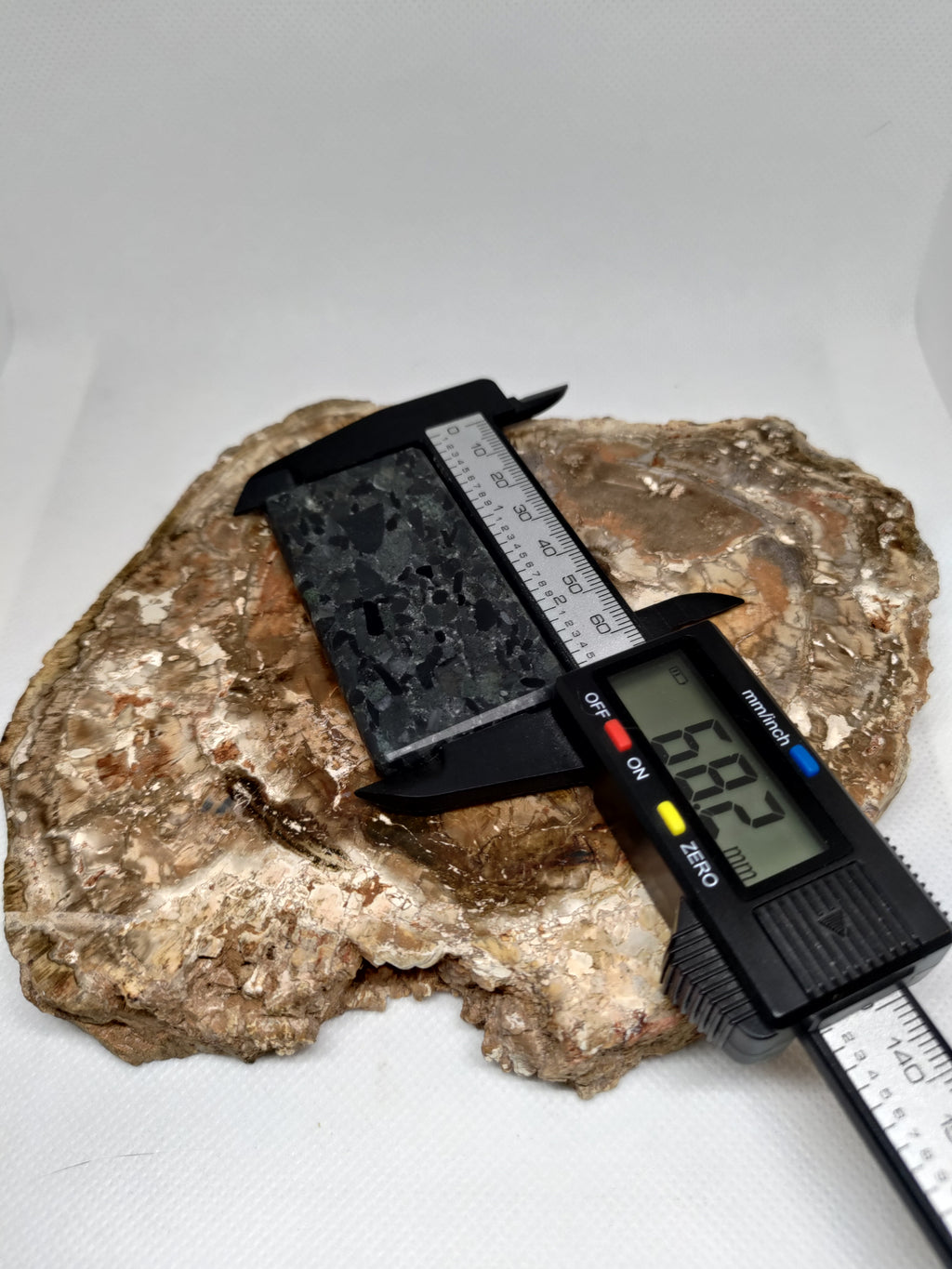 Hand Made New Zealand Conglomerate Stone Display Slab (Medium) Ref: 0133