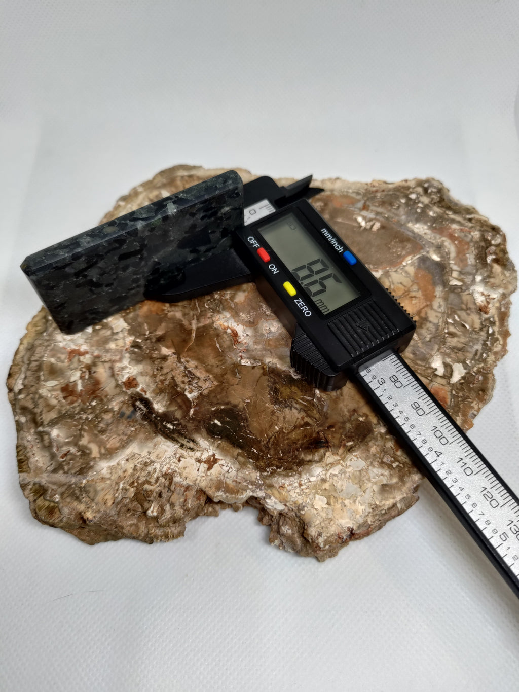 Hand Made New Zealand Conglomerate Stone Display Slab (Medium) Ref: 0133