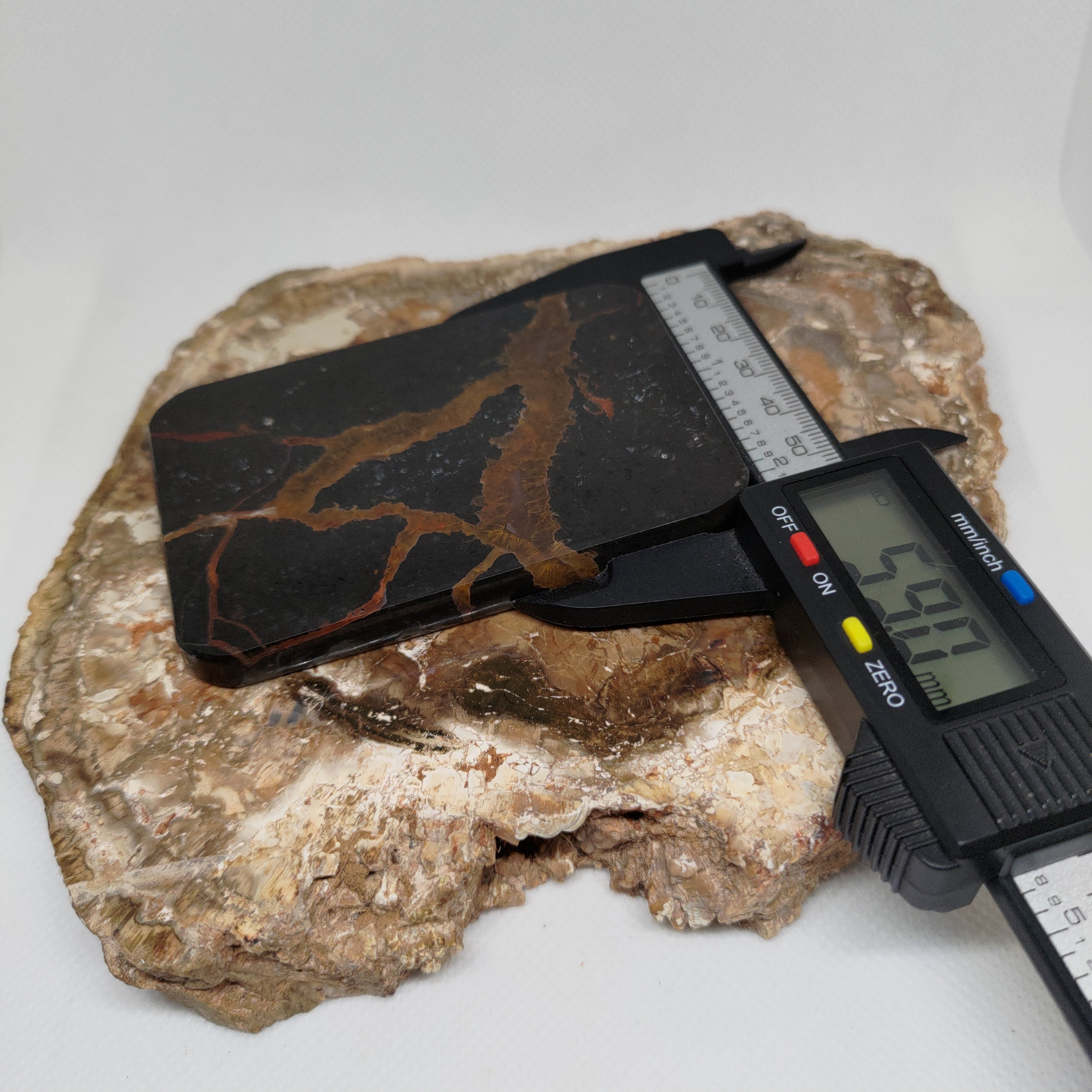 New Zealand Thunder Egg Polished Display Slab (Large) Ref 0142