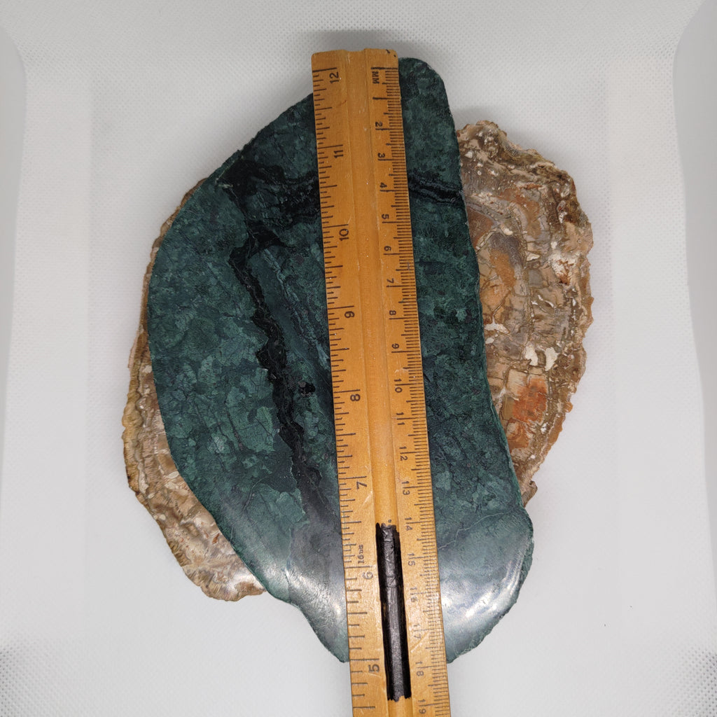 New Zealand Pounamu Display Slab (XL) Ref 0144