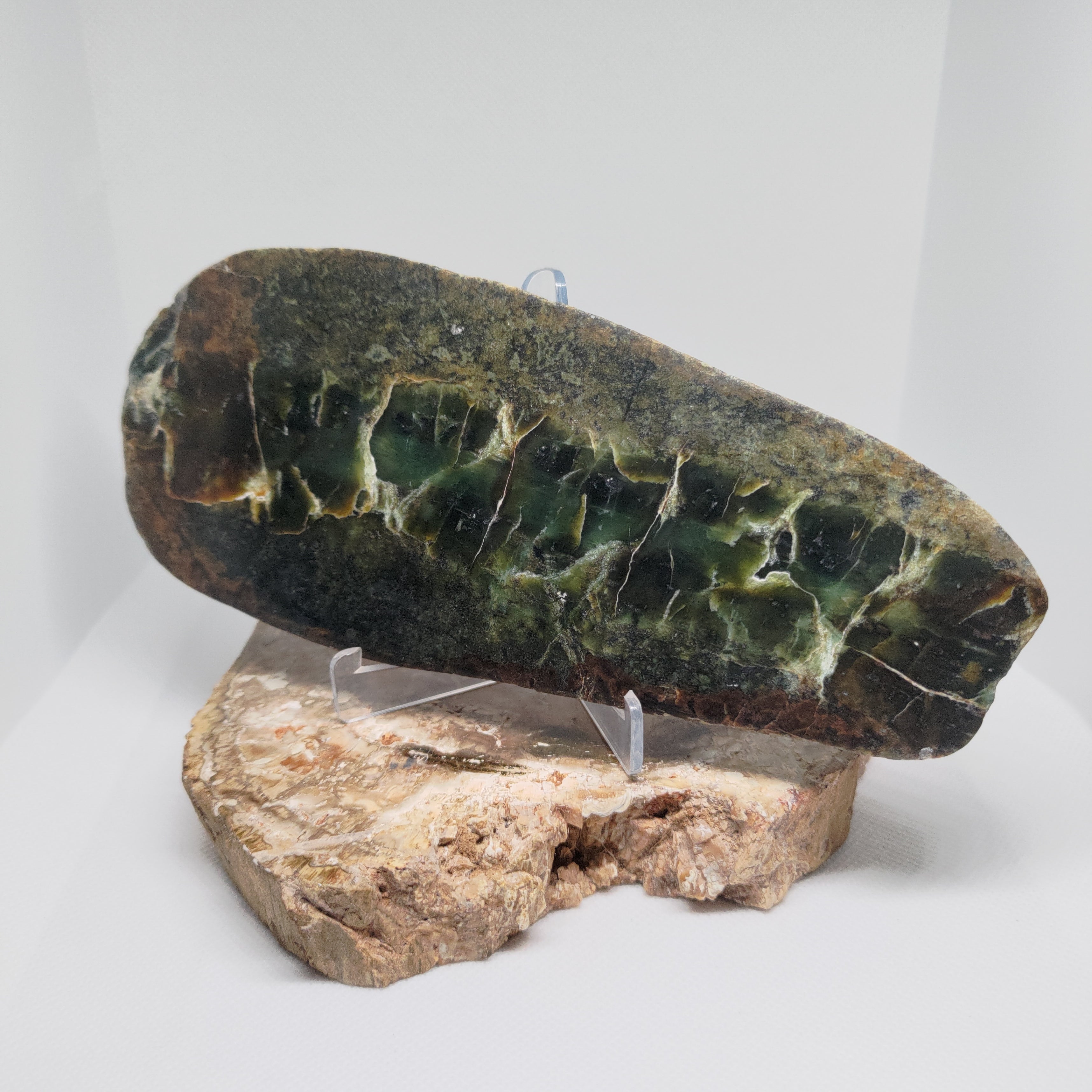 New Zealand Pounamu (Sandwich Jade) Display Slab (XL) Ref 0145