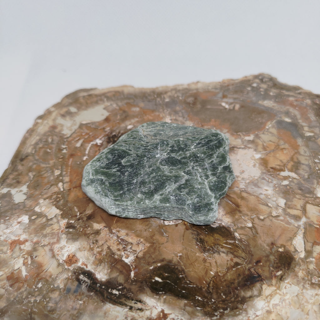 New Zealand Silver Flower Pounamu Specimen (Small) Ref: 0150
