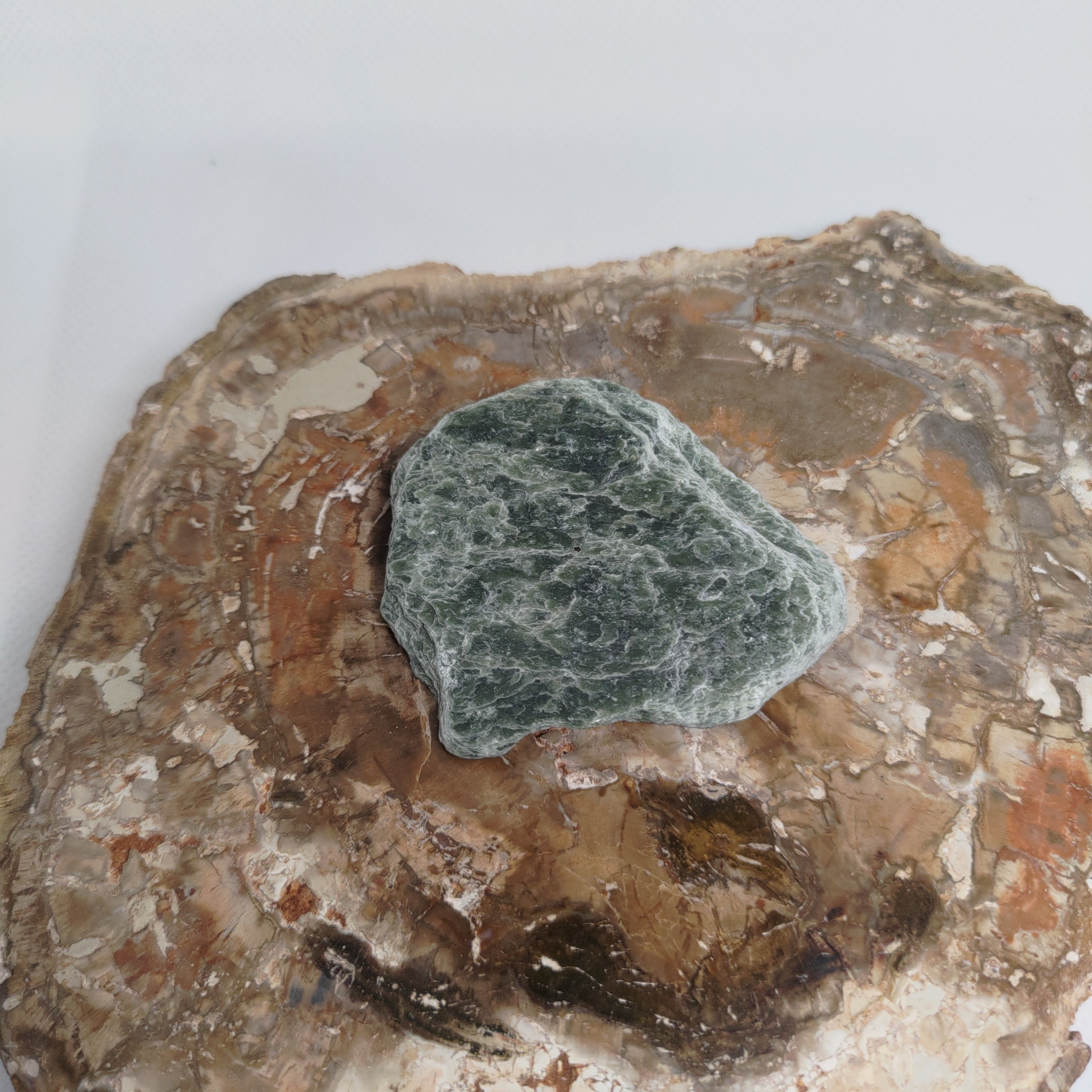 New Zealand Silver Flower Pounamu Specimen (Small) Ref: 0150