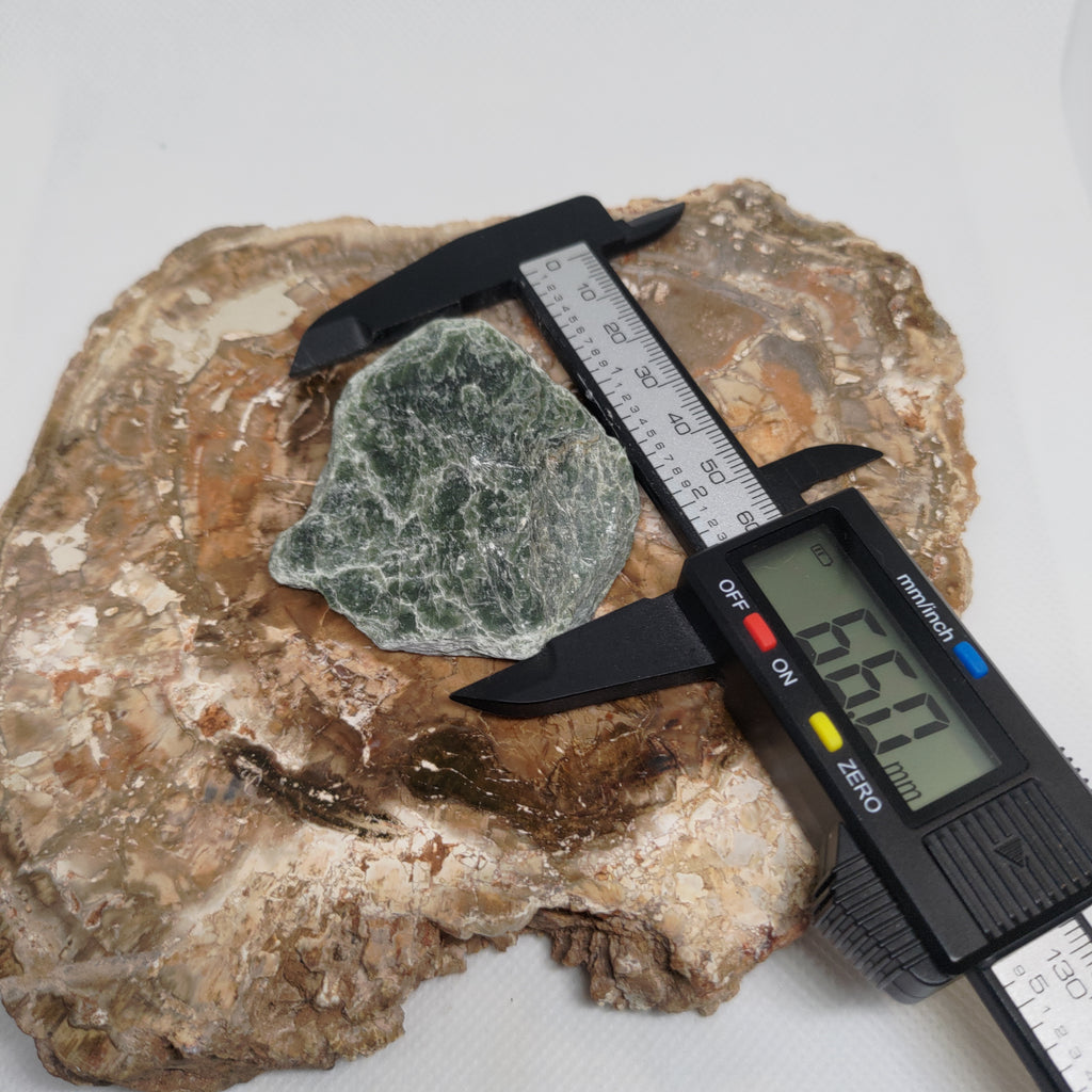New Zealand Silver Flower Pounamu Specimen (Small) Ref: 0150
