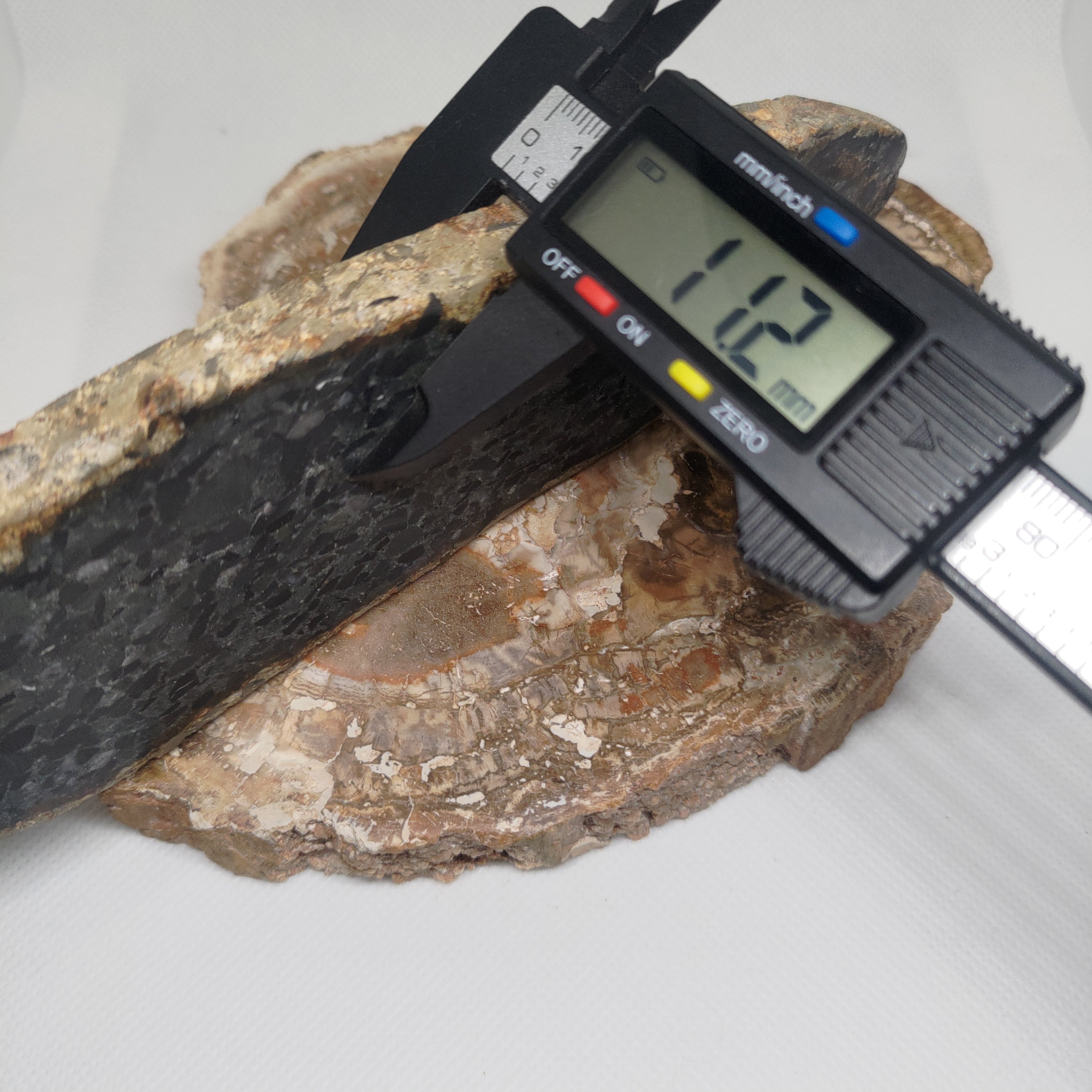 Hand Made New Zealand Conglomerate Stone Display Slab Ref: 0156