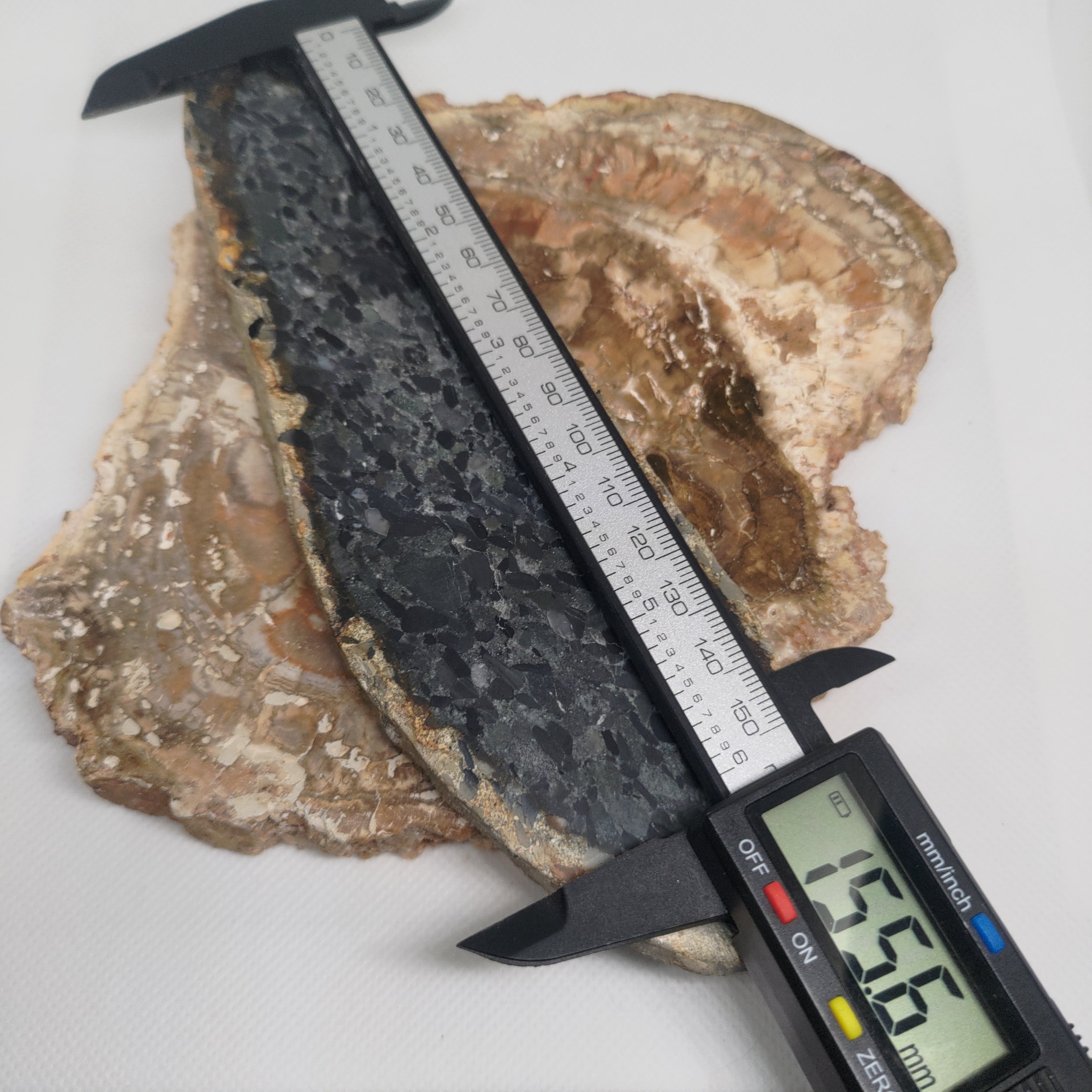 Hand Made New Zealand Conglomerate Stone Display Slab Ref: 0156