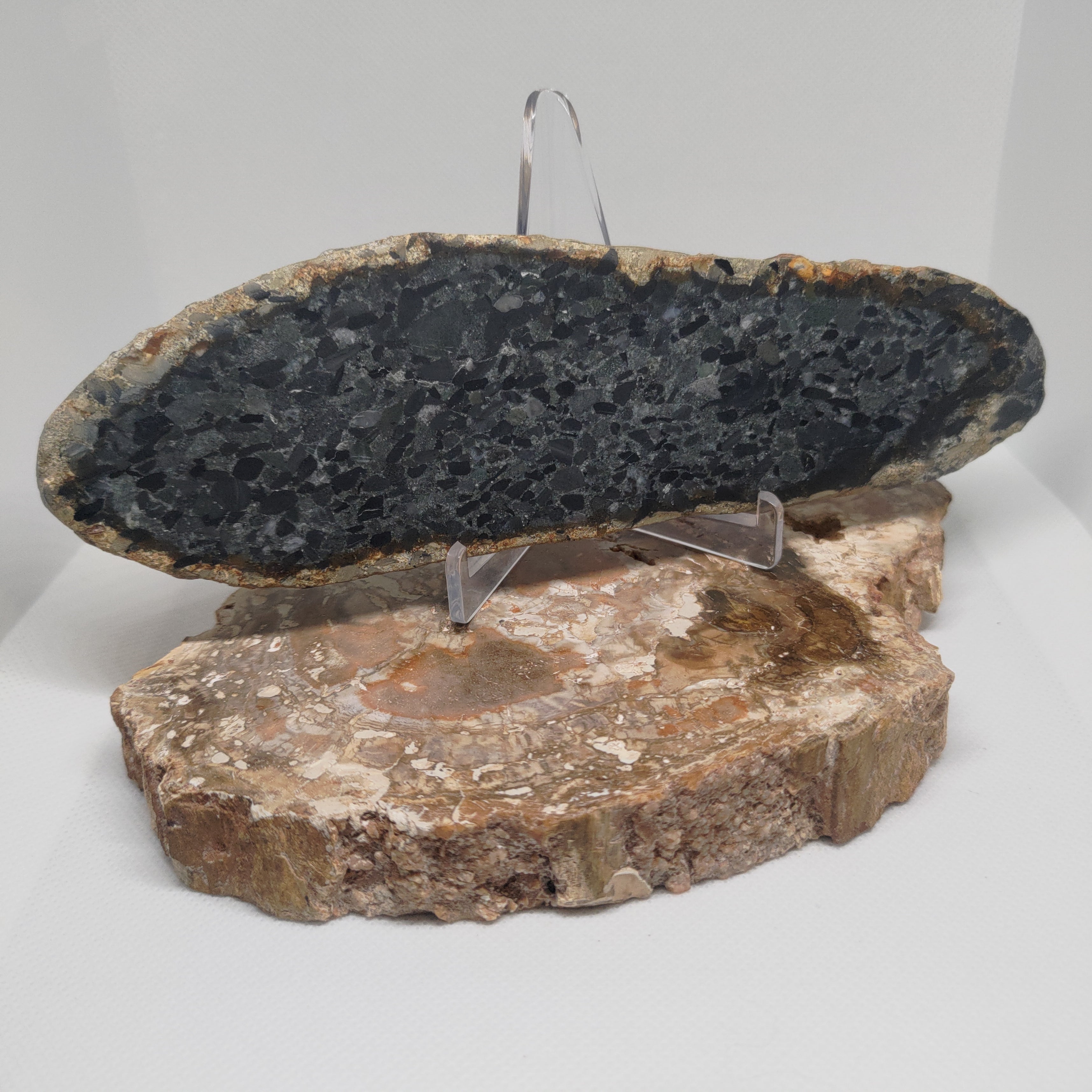 Hand Made New Zealand Conglomerate Stone Display Slab Ref: 0156