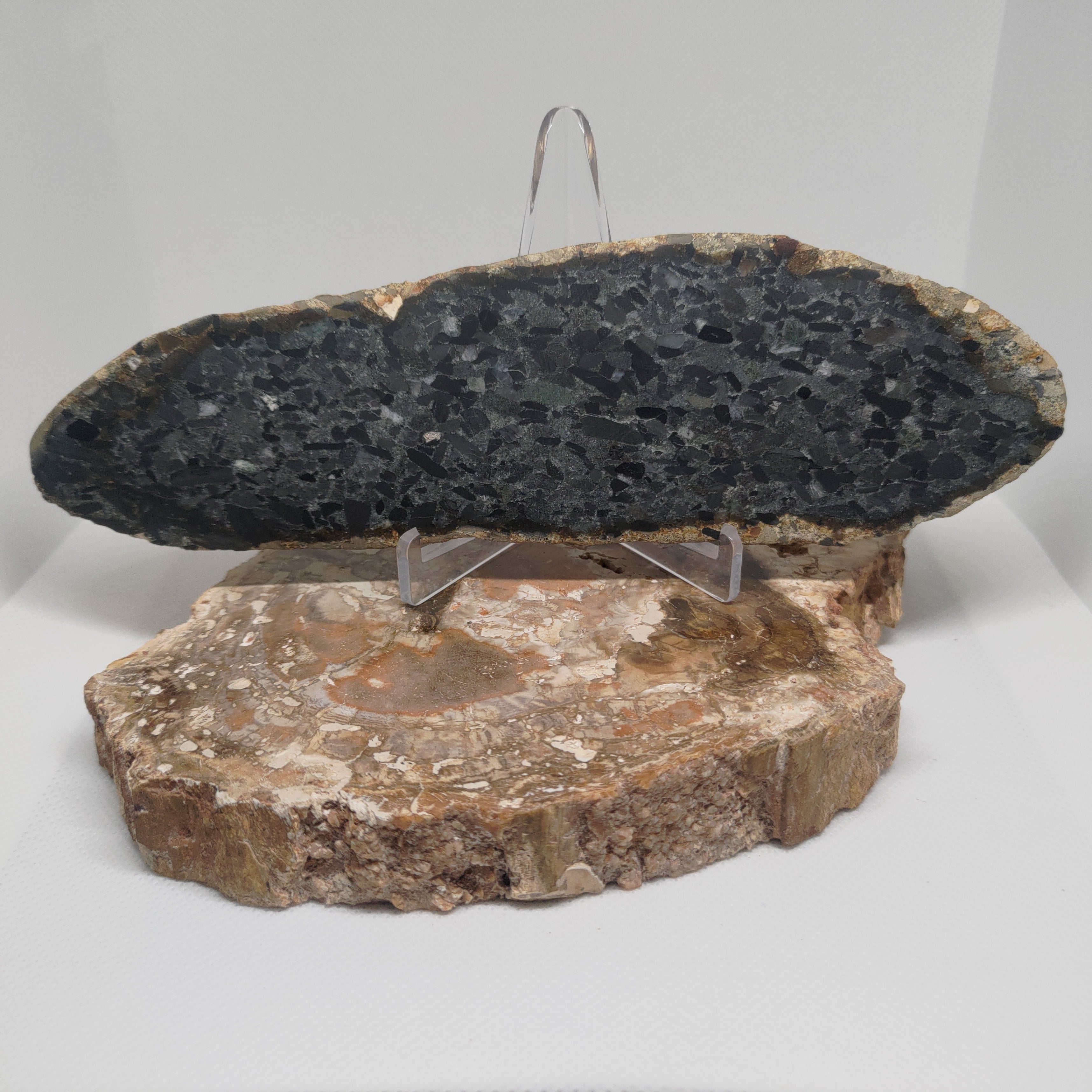 Hand Made New Zealand Conglomerate Stone Display Slab Ref: 0156
