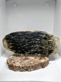 New Zealand Pounamu Display Slab Ref: 0157