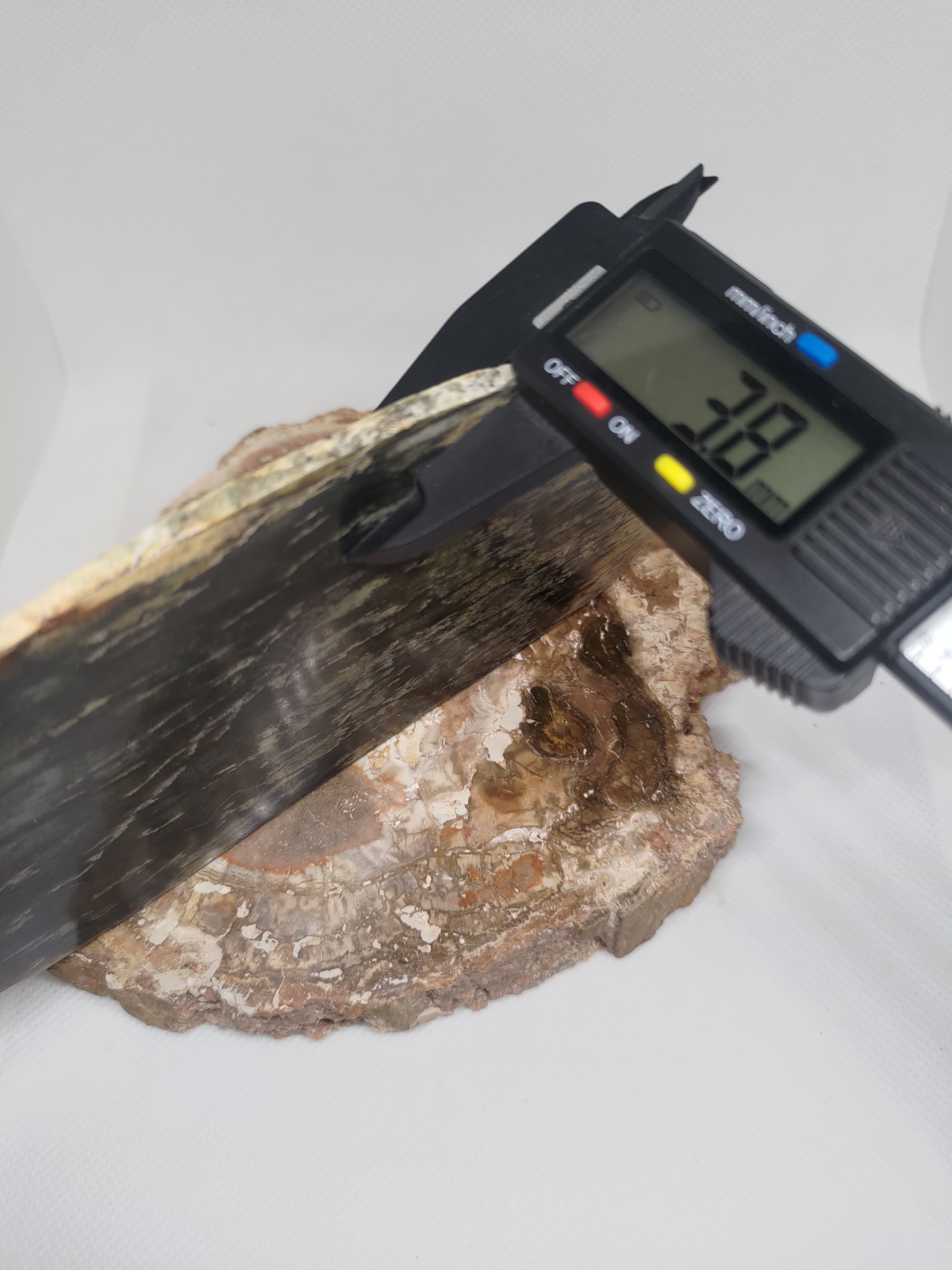 New Zealand Pounamu Display Slab Ref: 0157