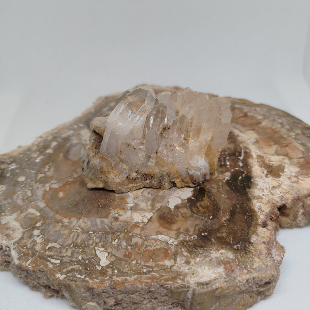 Pakistani clear quartz cluster specimen Ref: 0158
