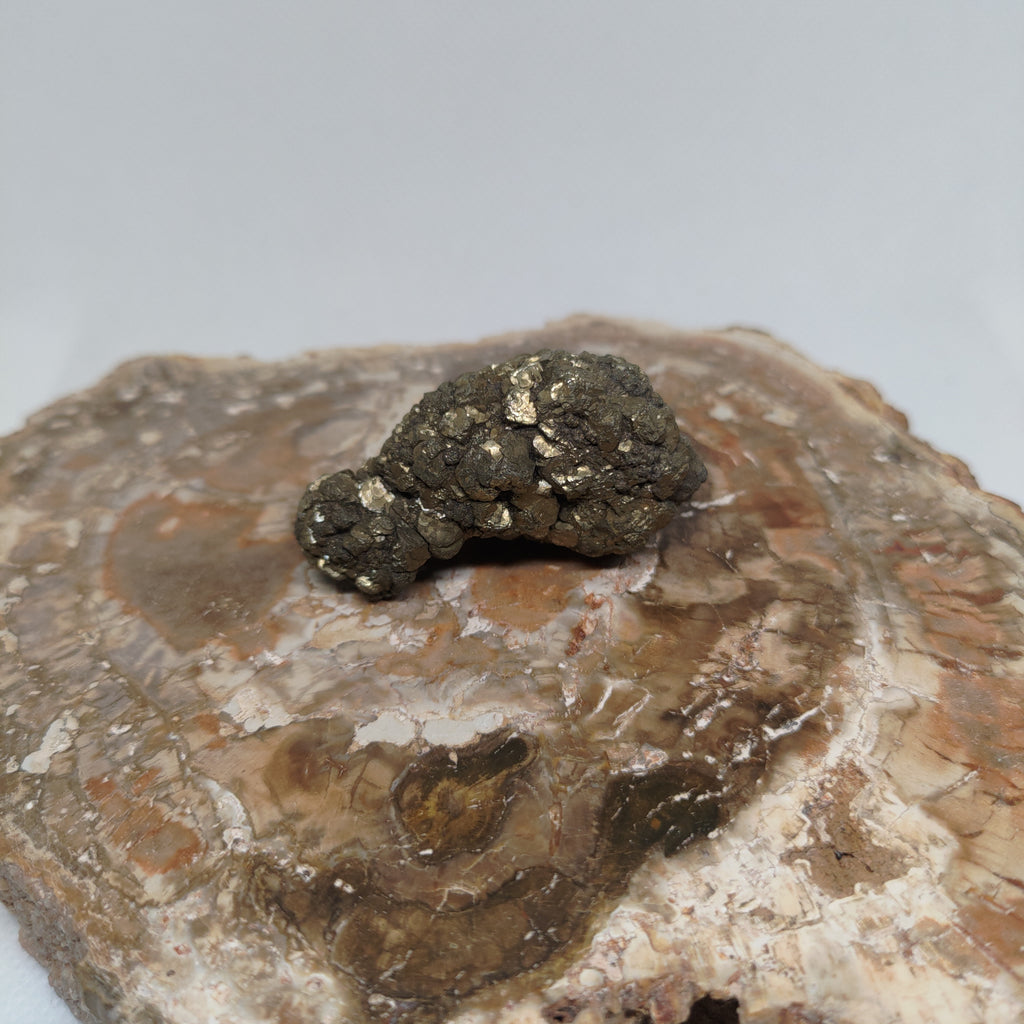 Natural Botryoidal and Microcrystalline Pyrite Cluster Specimen from Pakistan Ref: 0160