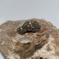 Natural Botryoidal and Microcrystalline Pyrite Cluster Specimen from Pakistan Ref: 0160
