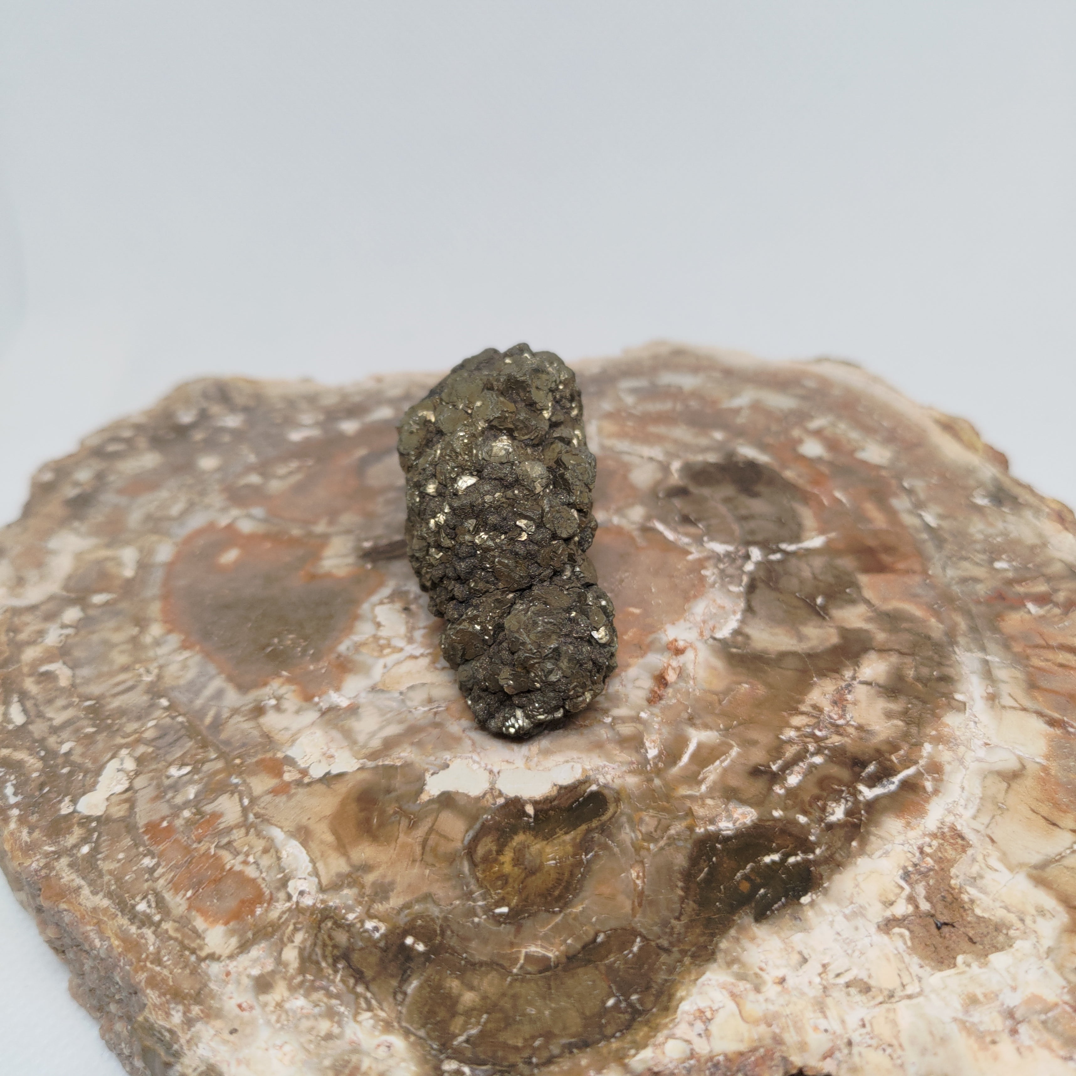 Natural Botryoidal and Microcrystalline Pyrite Cluster Specimen from Pakistan Ref: 0160