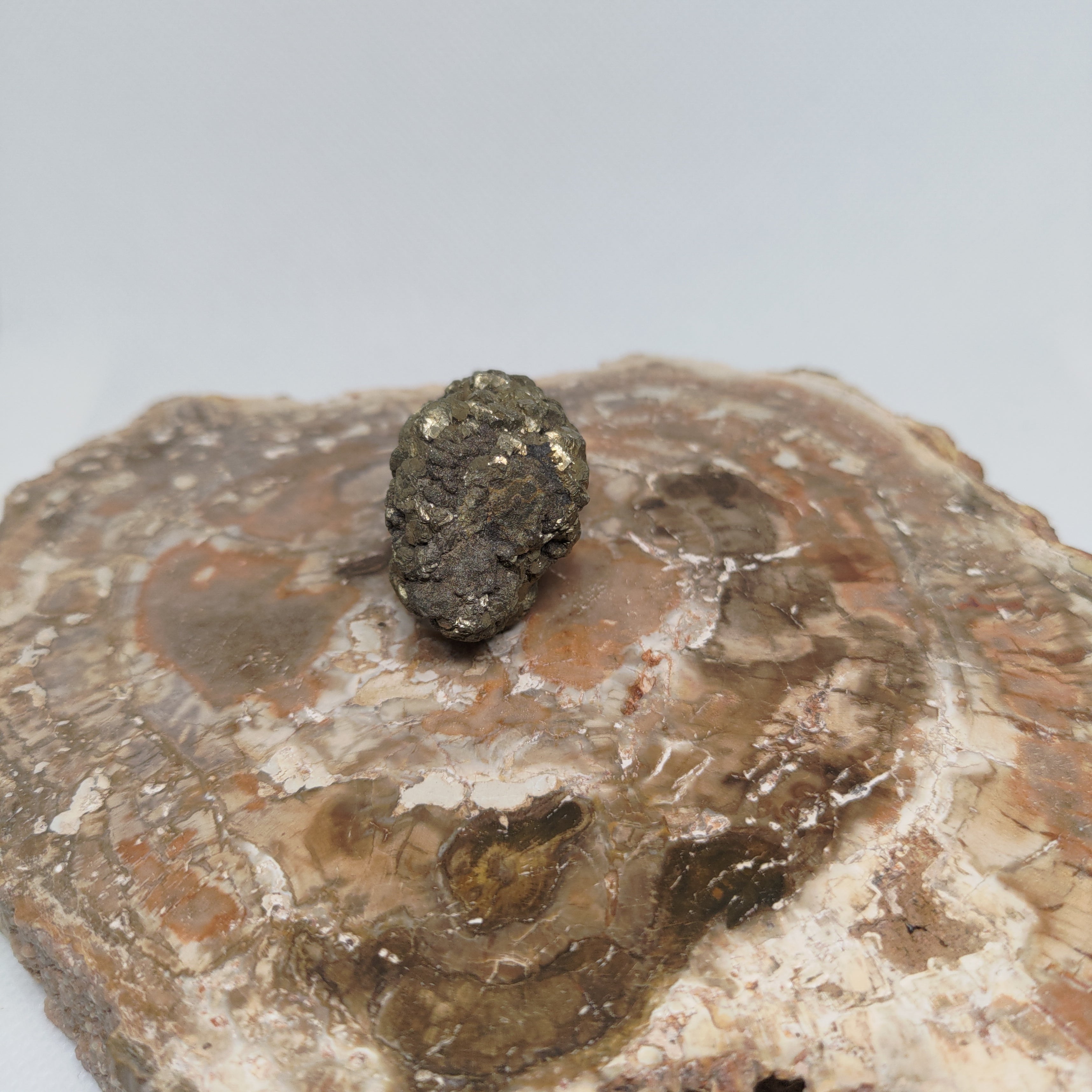 Natural Botryoidal and Microcrystalline Pyrite Cluster Specimen from Pakistan Ref: 0160