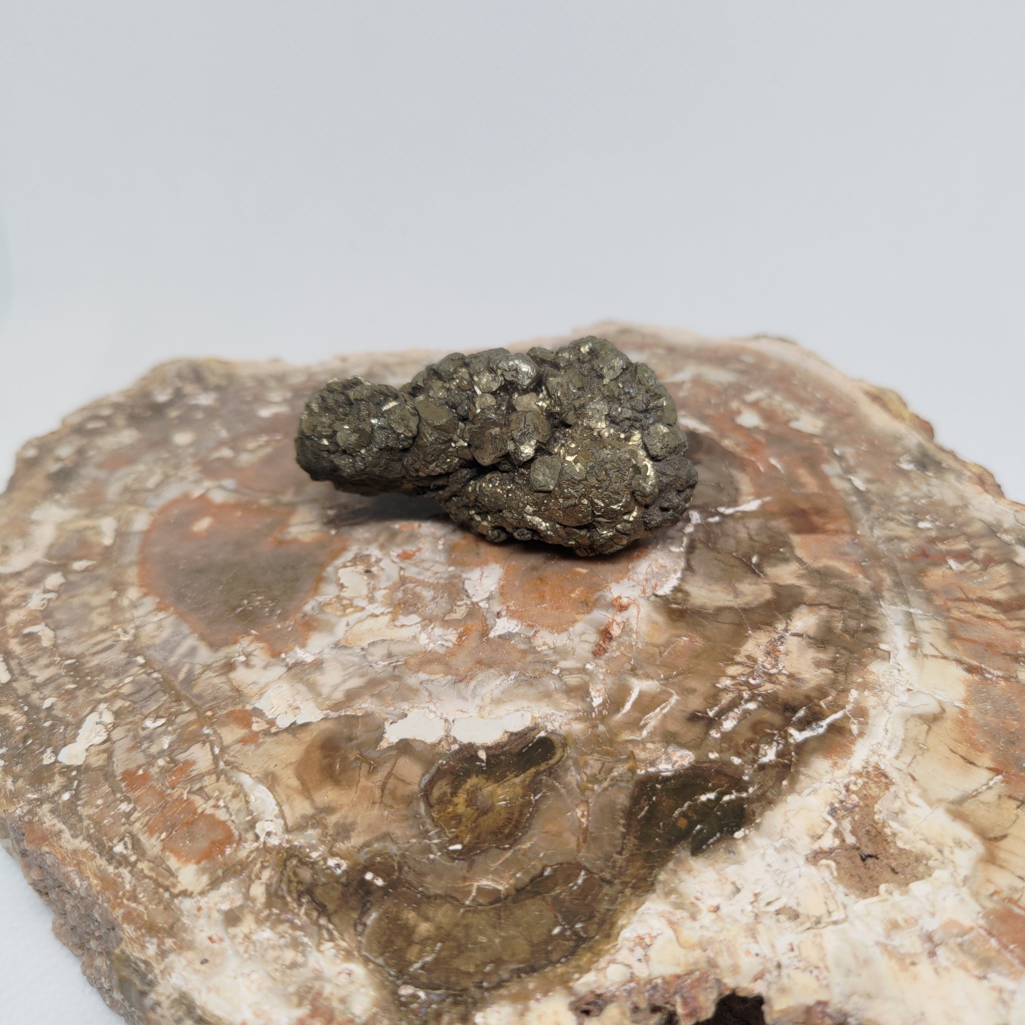 Natural Botryoidal and Microcrystalline Pyrite Cluster Specimen from Pakistan Ref: 0160
