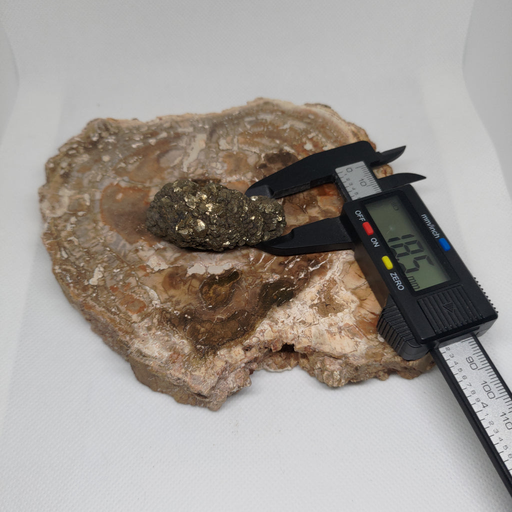 Natural Botryoidal and Microcrystalline Pyrite Cluster Specimen from Pakistan Ref: 0160