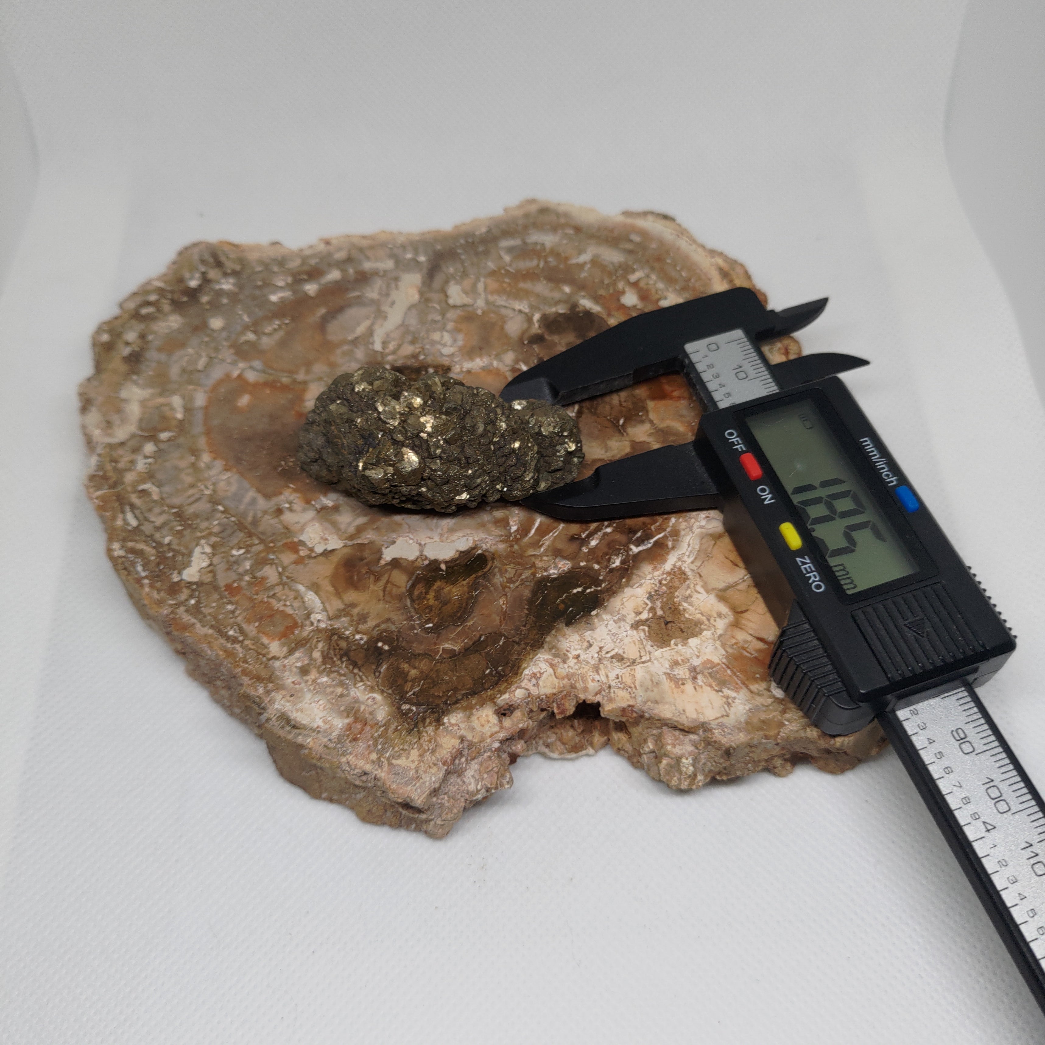 Natural Botryoidal and Microcrystalline Pyrite Cluster Specimen from Pakistan Ref: 0160