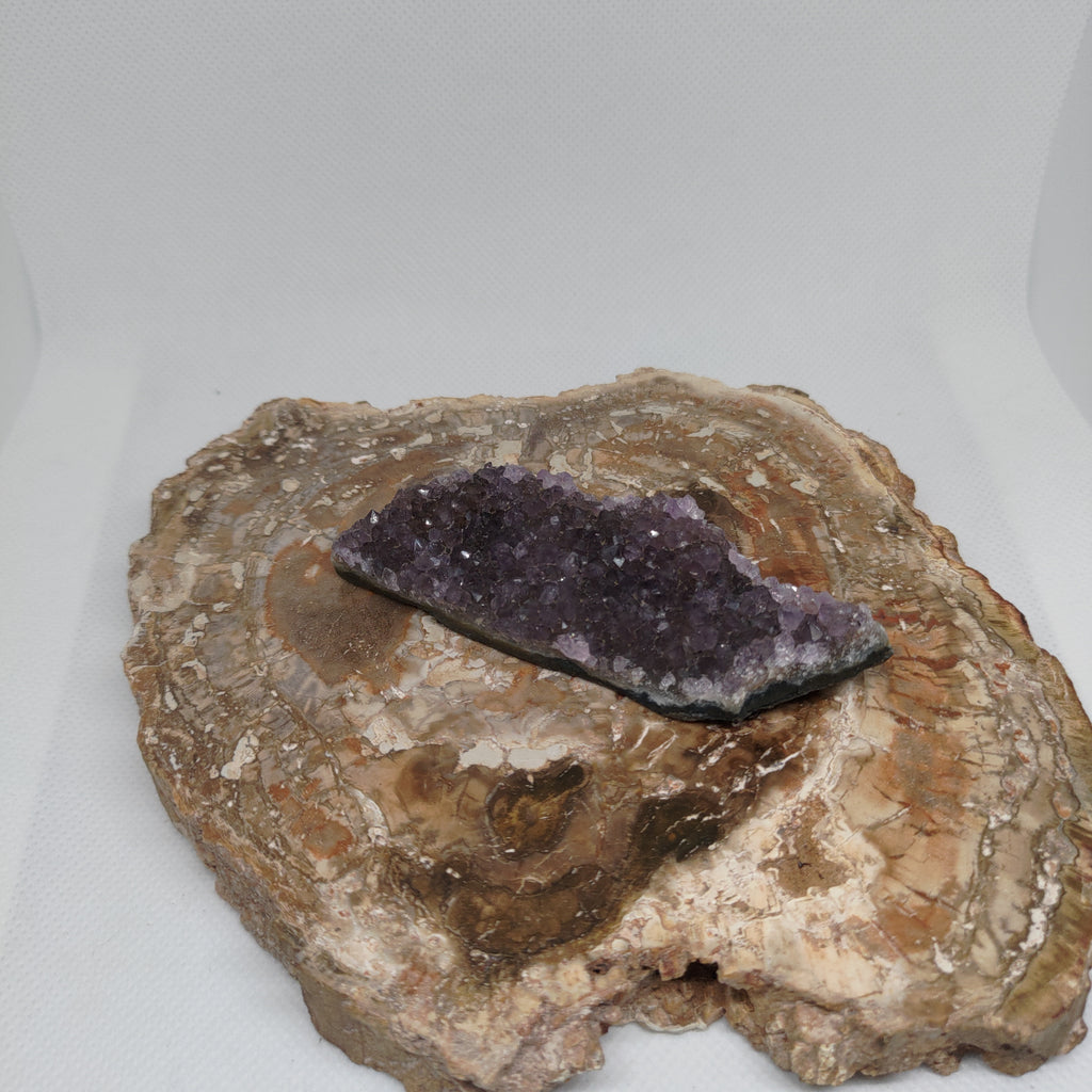 Purple Amethyst Crystal Cluster Specimen Ref: 0161