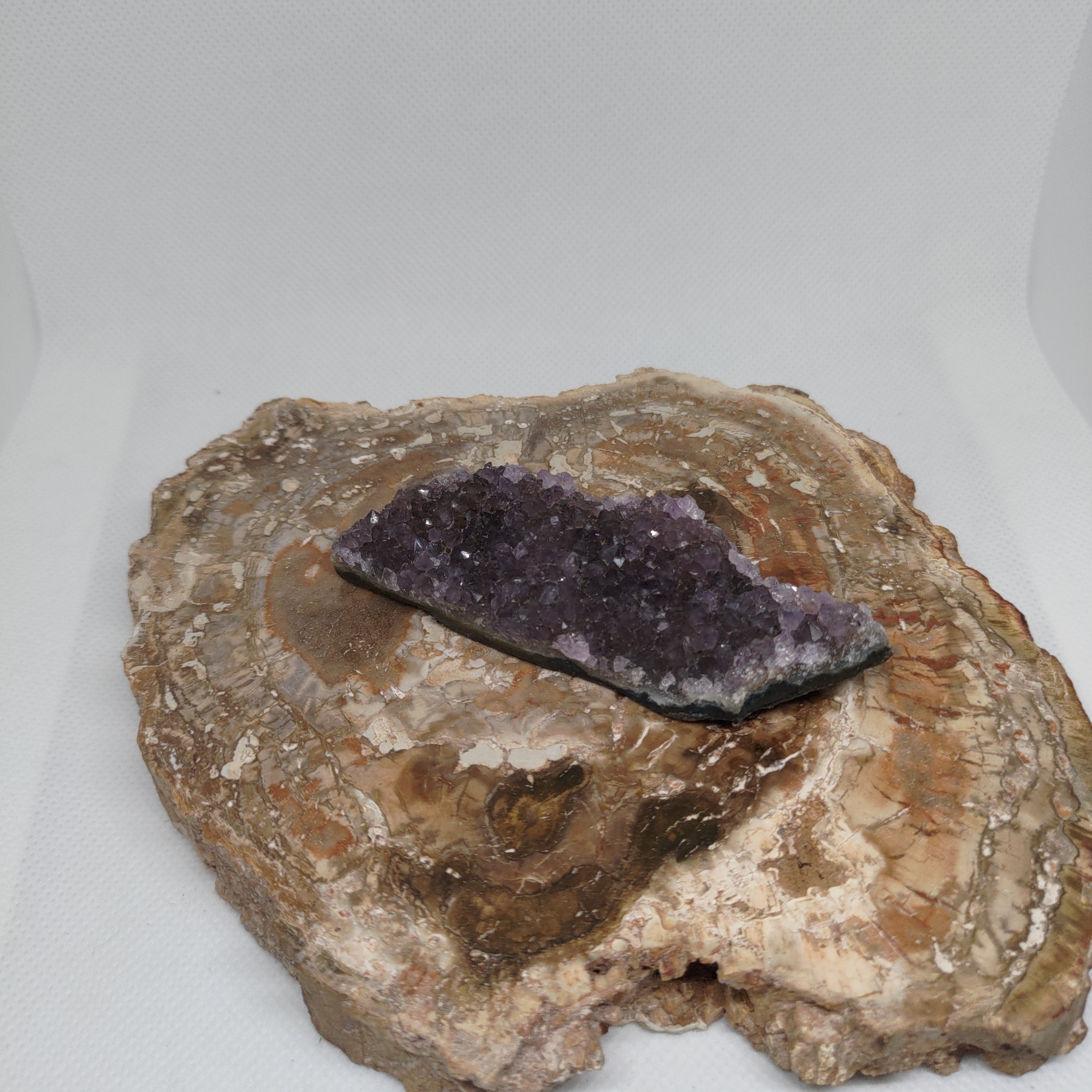 Purple Amethyst Crystal Cluster Specimen Ref: 0161