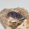 Purple Amethyst Crystal Cluster Specimen Ref: 0161