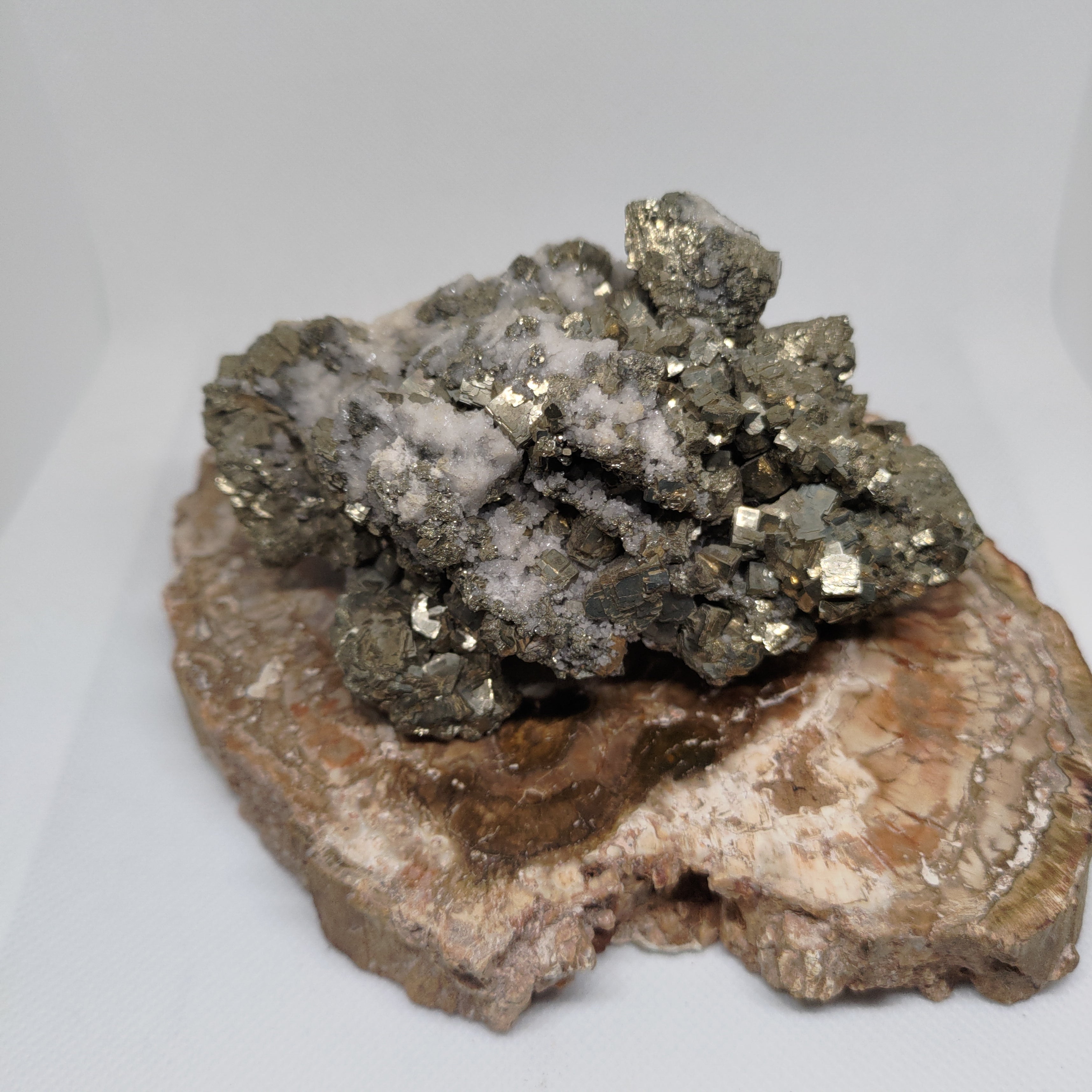Cubic Pyrite Crystal Cluster on White Quartz Matrix Specimen Ref: 0162