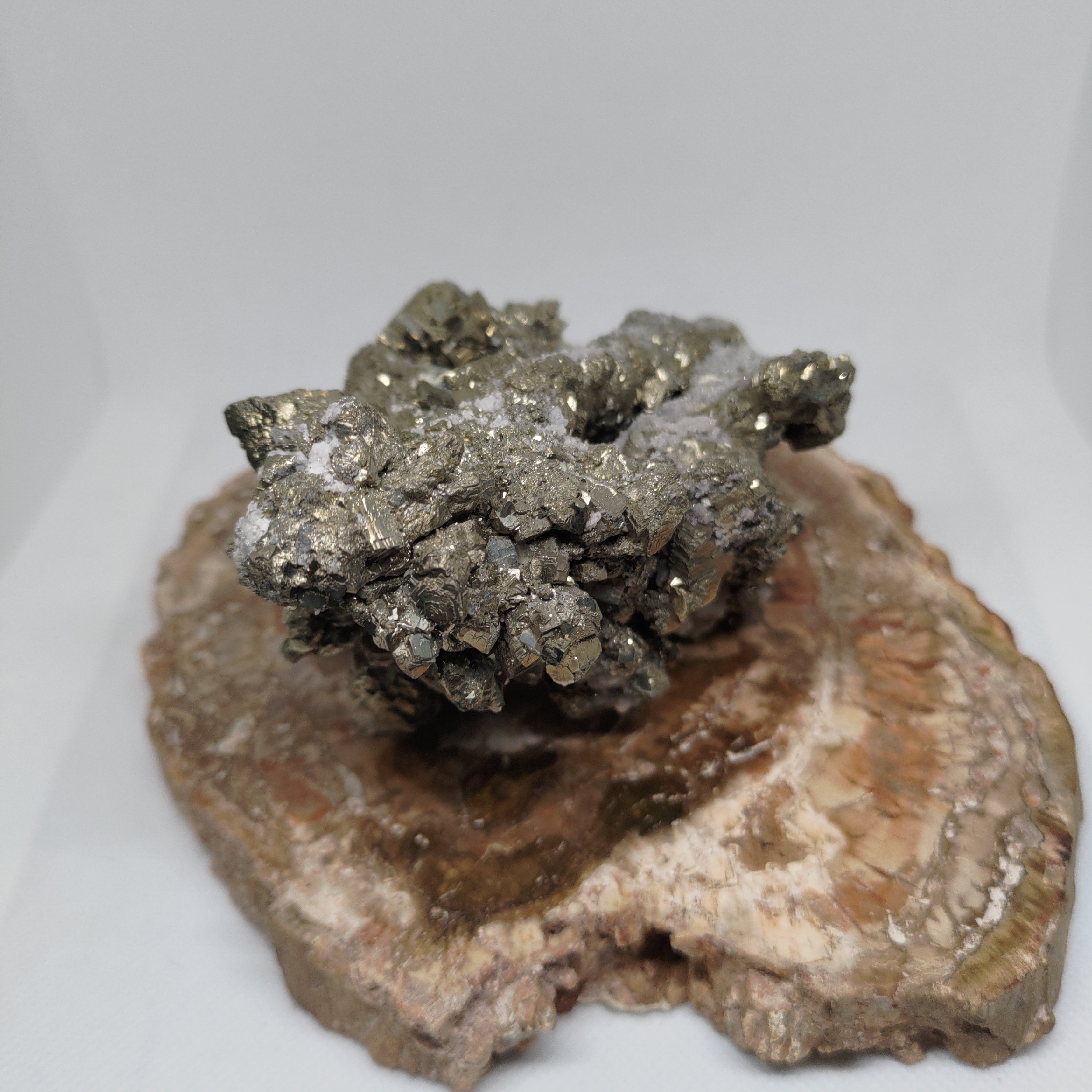 Cubic Pyrite Crystal Cluster on White Quartz Matrix Specimen Ref: 0162