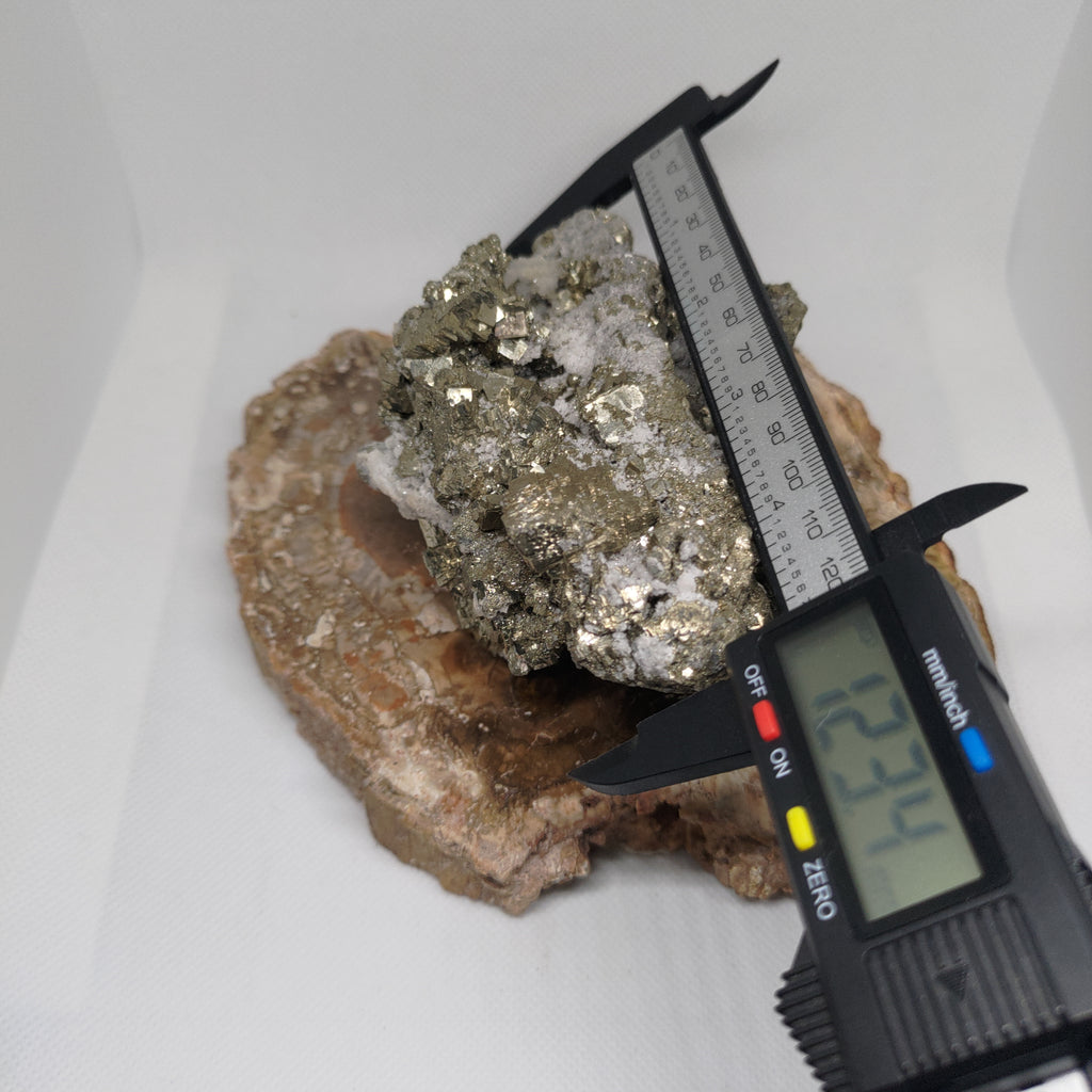 Cubic Pyrite Crystal Cluster on White Quartz Matrix Specimen Ref: 0162
