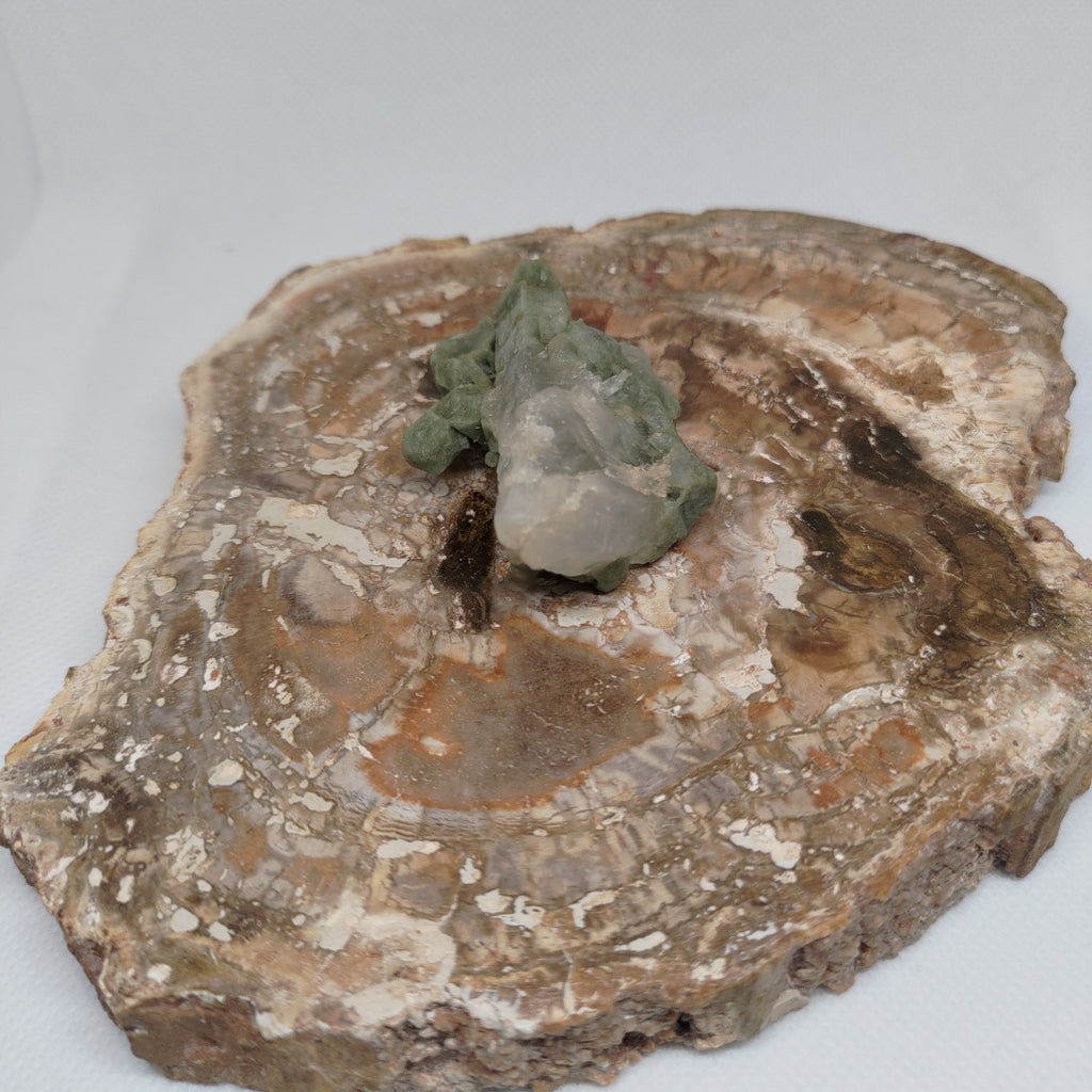 Chlorite Included Quartz Pakistan Specimen Ref: 0163