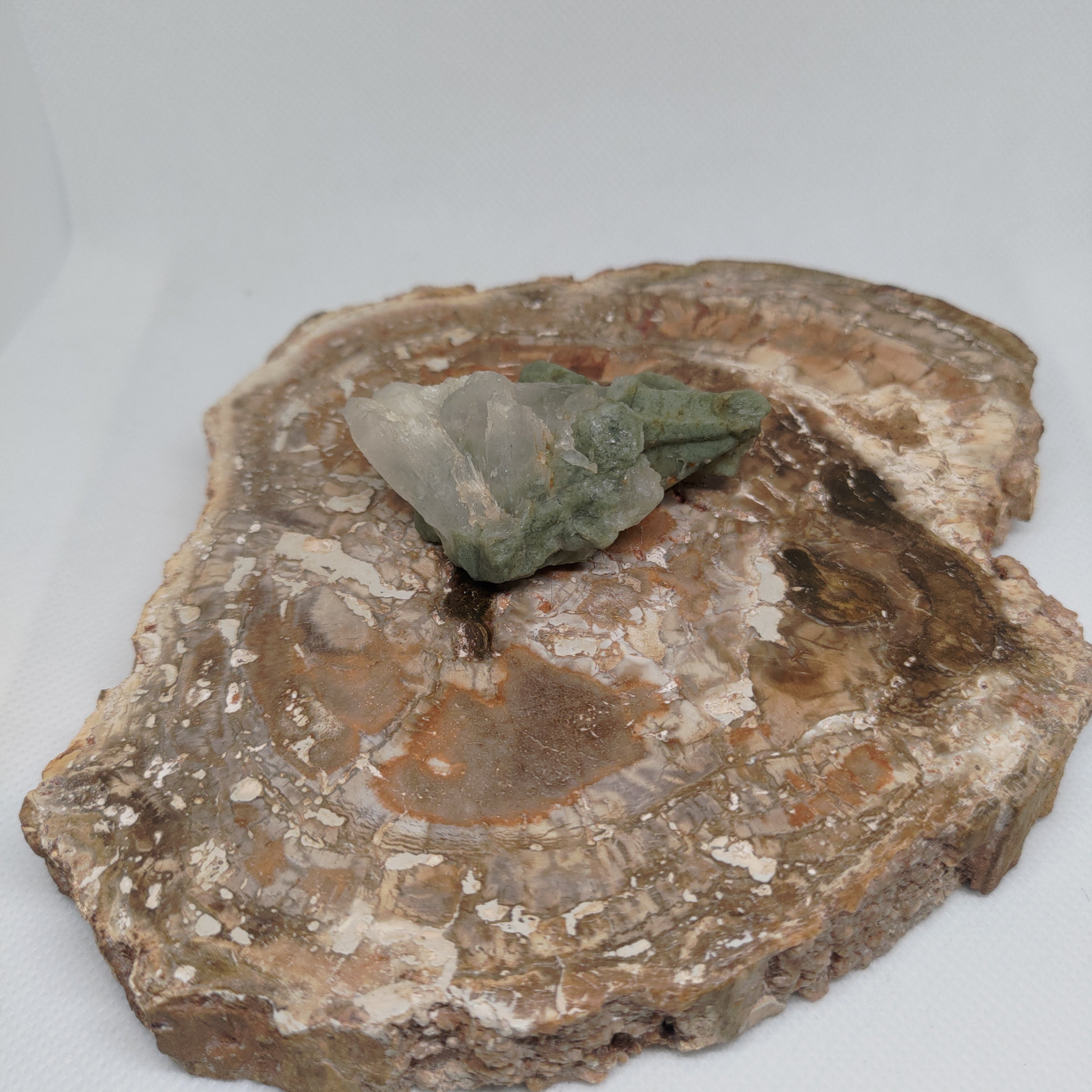 Chlorite Included Quartz Pakistan Specimen Ref: 0163