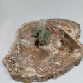 Chlorite Included Quartz Pakistan Specimen Ref: 0163