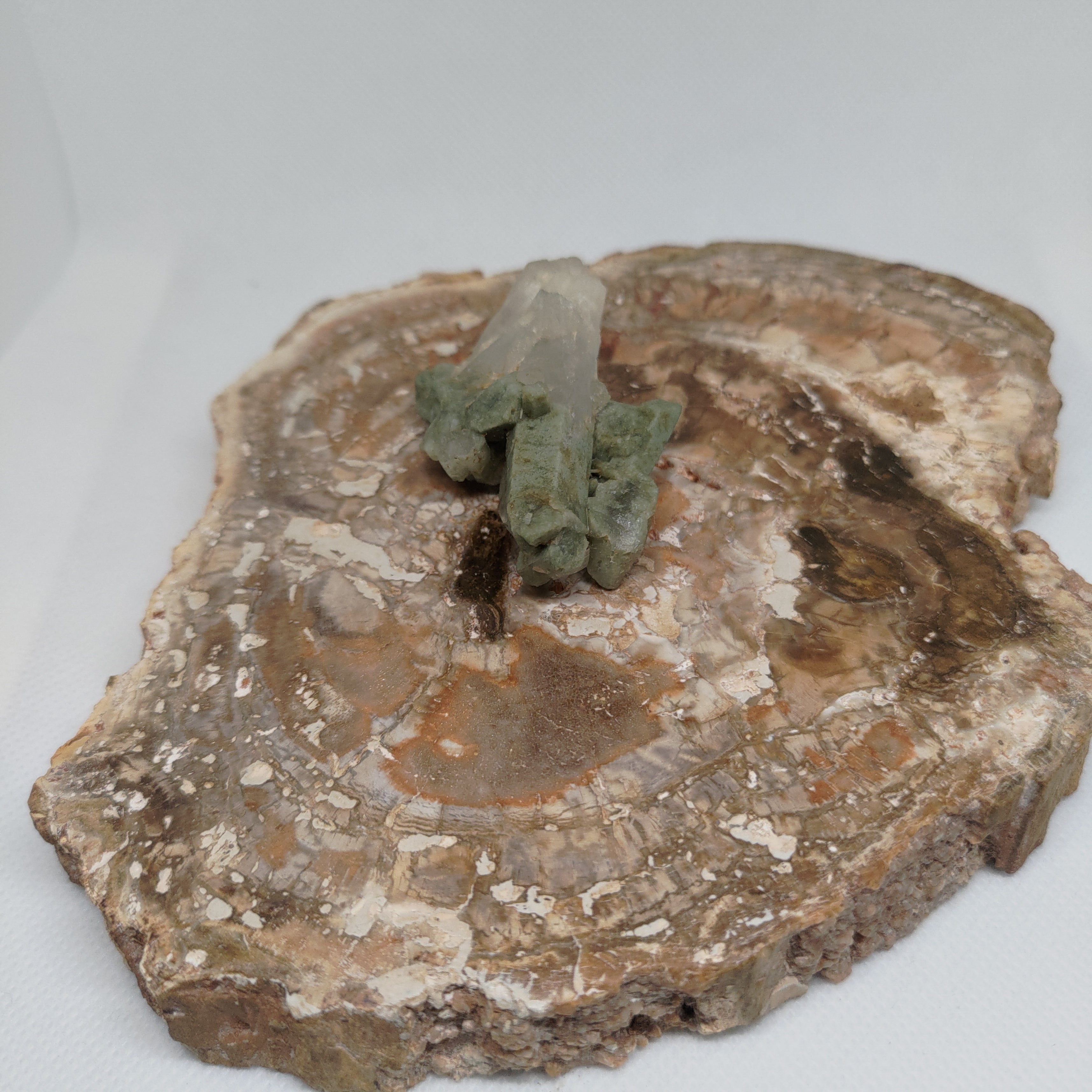 Chlorite Included Quartz Pakistan Specimen Ref: 0163
