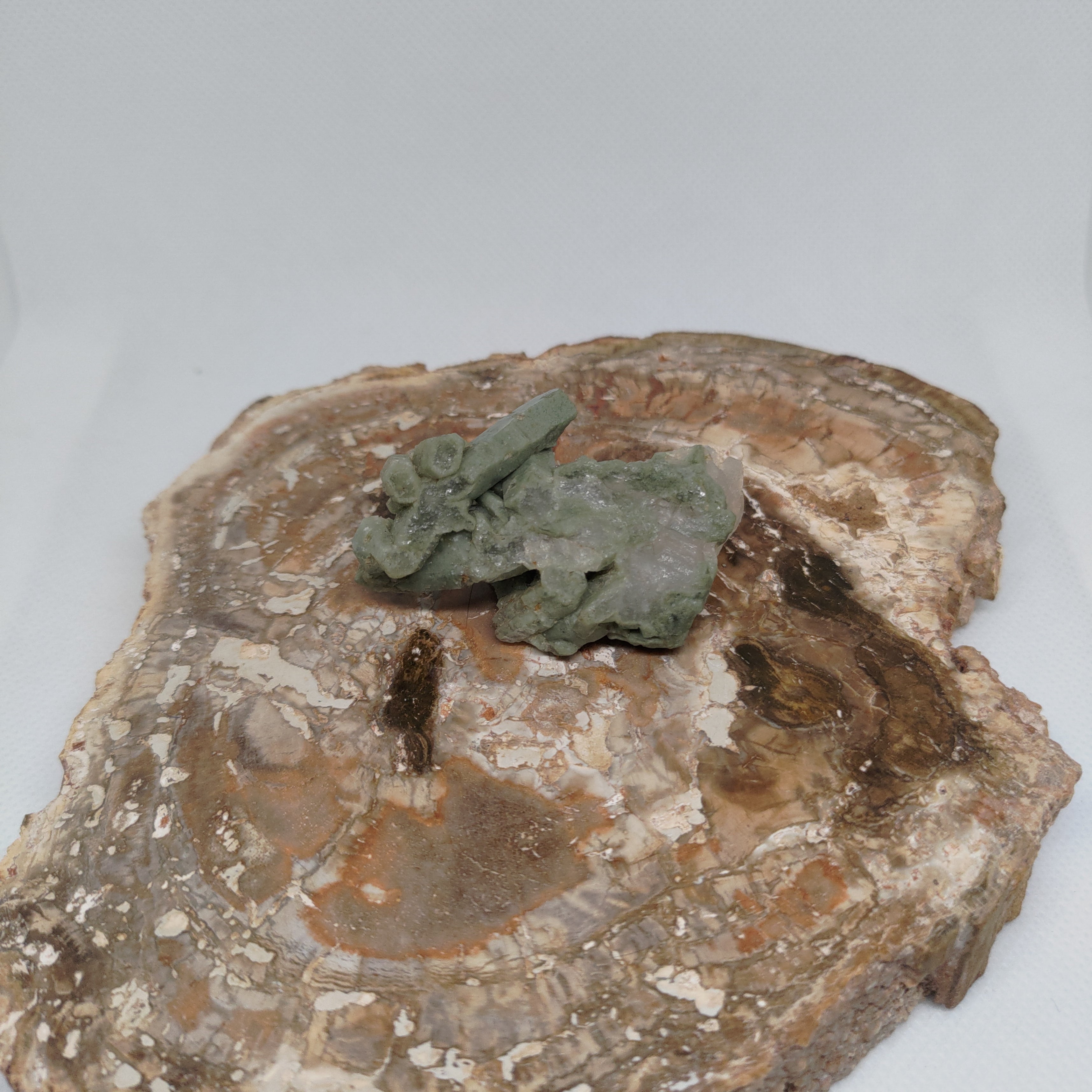 Chlorite Included Quartz Pakistan Specimen Ref: 0163