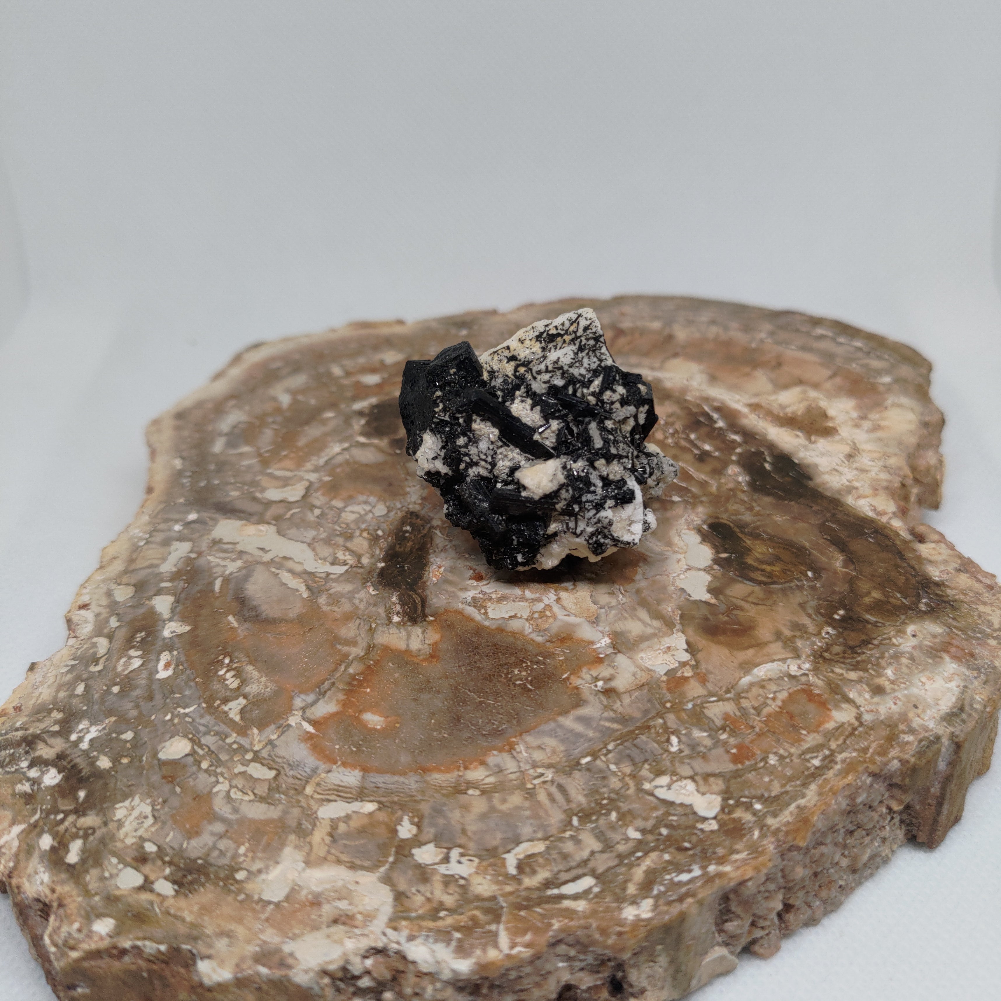 Pakistani Black Tourmaline on Albite Specimen Ref: 0164