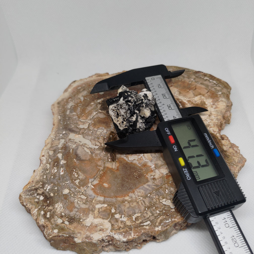 Pakistani Black Tourmaline on Albite Specimen Ref: 0164