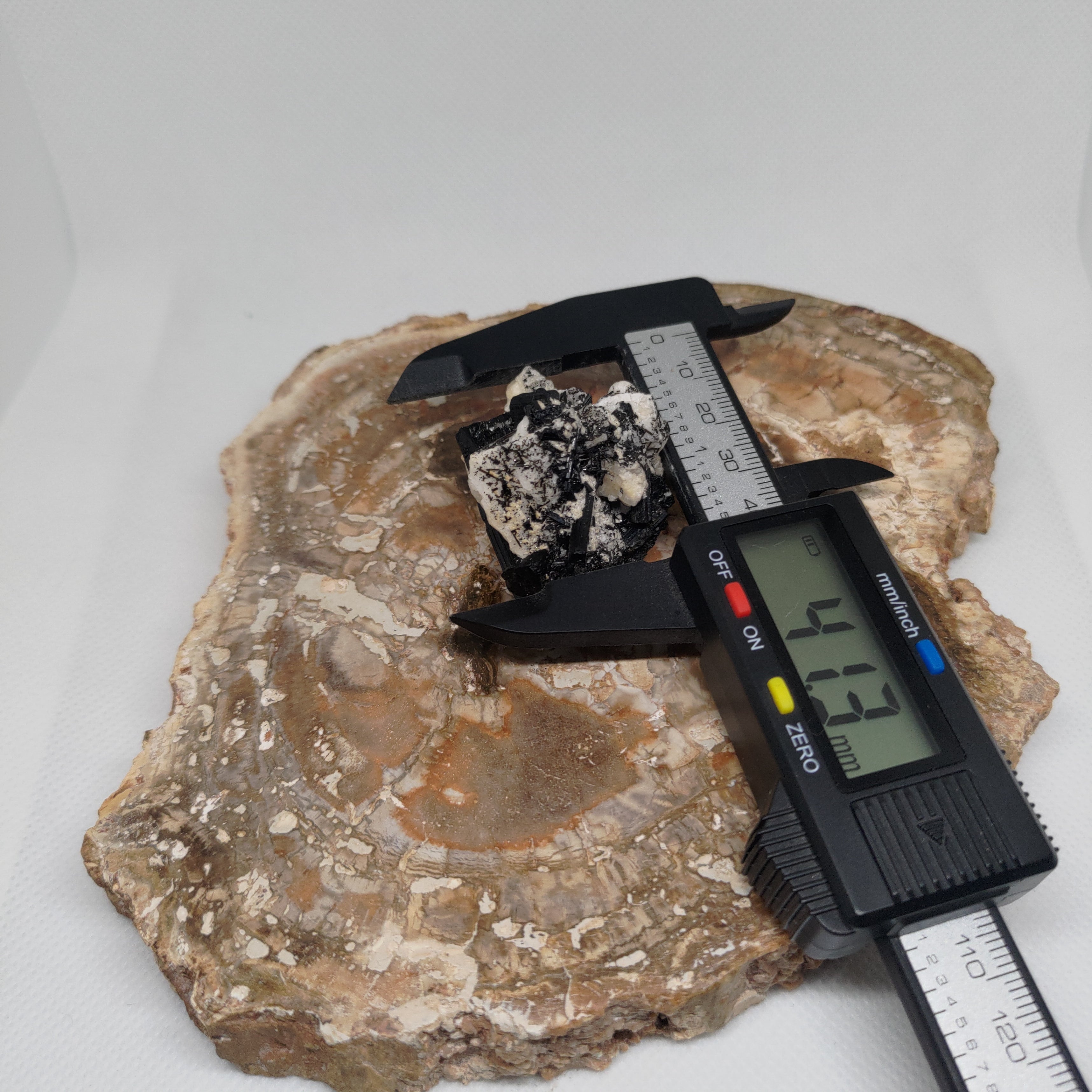 Pakistani Black Tourmaline on Albite Specimen Ref: 0164