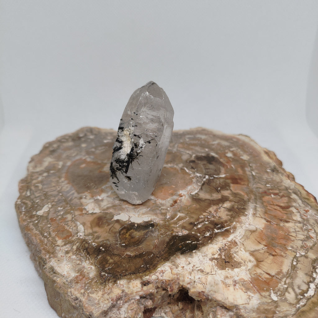 Tourmalinated Quartz Specimen from Pakistan Ref: 0165