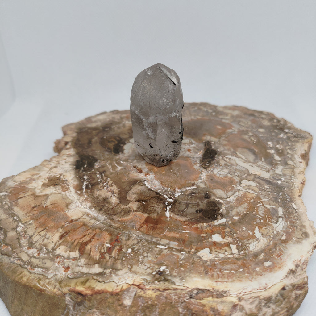 Tourmalinated Quartz Specimen from Pakistan Ref: 0165