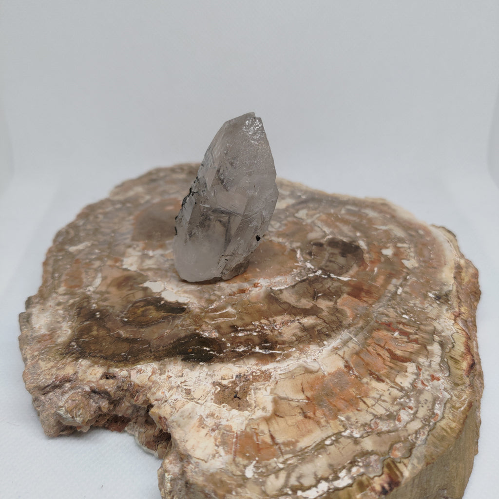 Tourmalinated Quartz Specimen from Pakistan Ref: 0165