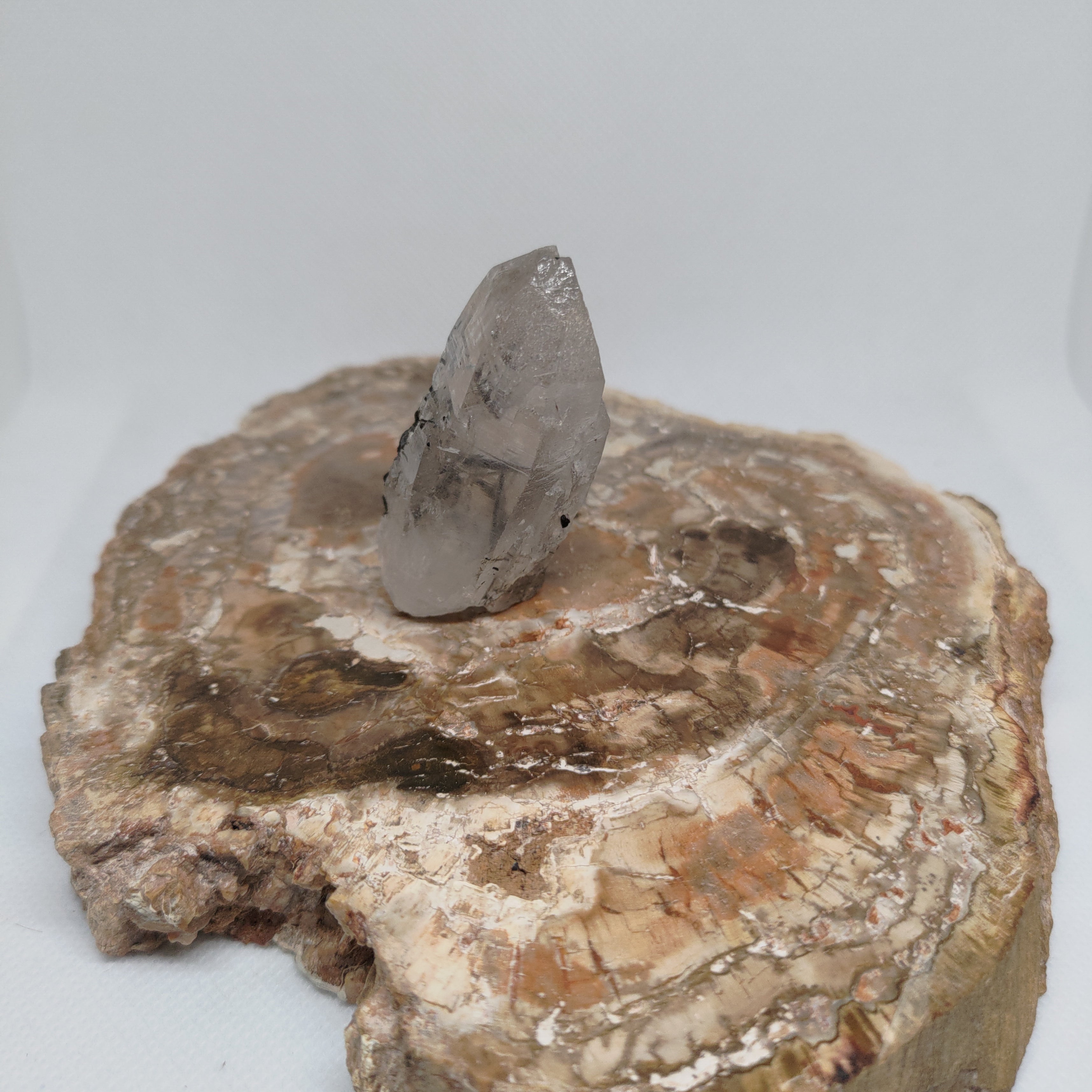 Tourmalinated Quartz Specimen from Pakistan Ref: 0165