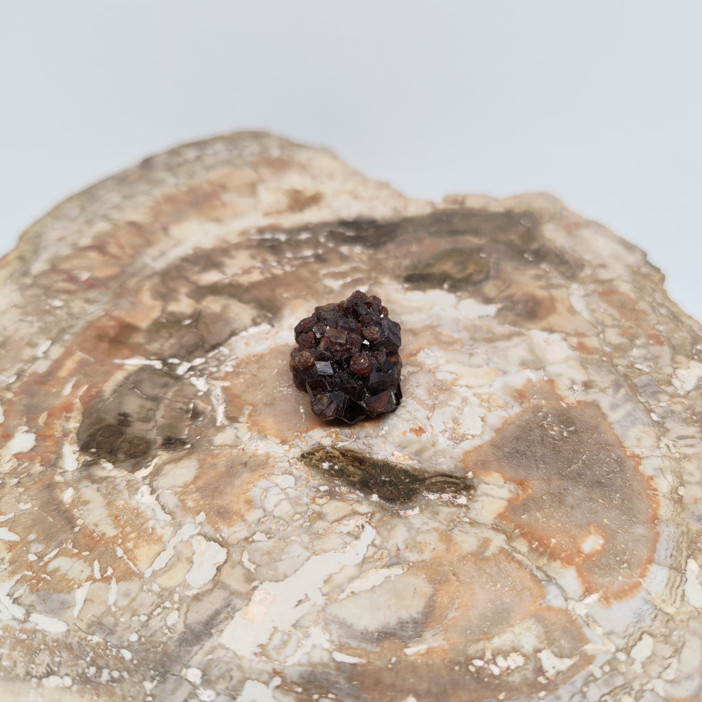 Andradite Garnet Crystal Cluster Specimen from Pakistan Ref: 0169