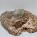 Green Tourmaline in Quartz Specimen from Pakistan Ref: 0170