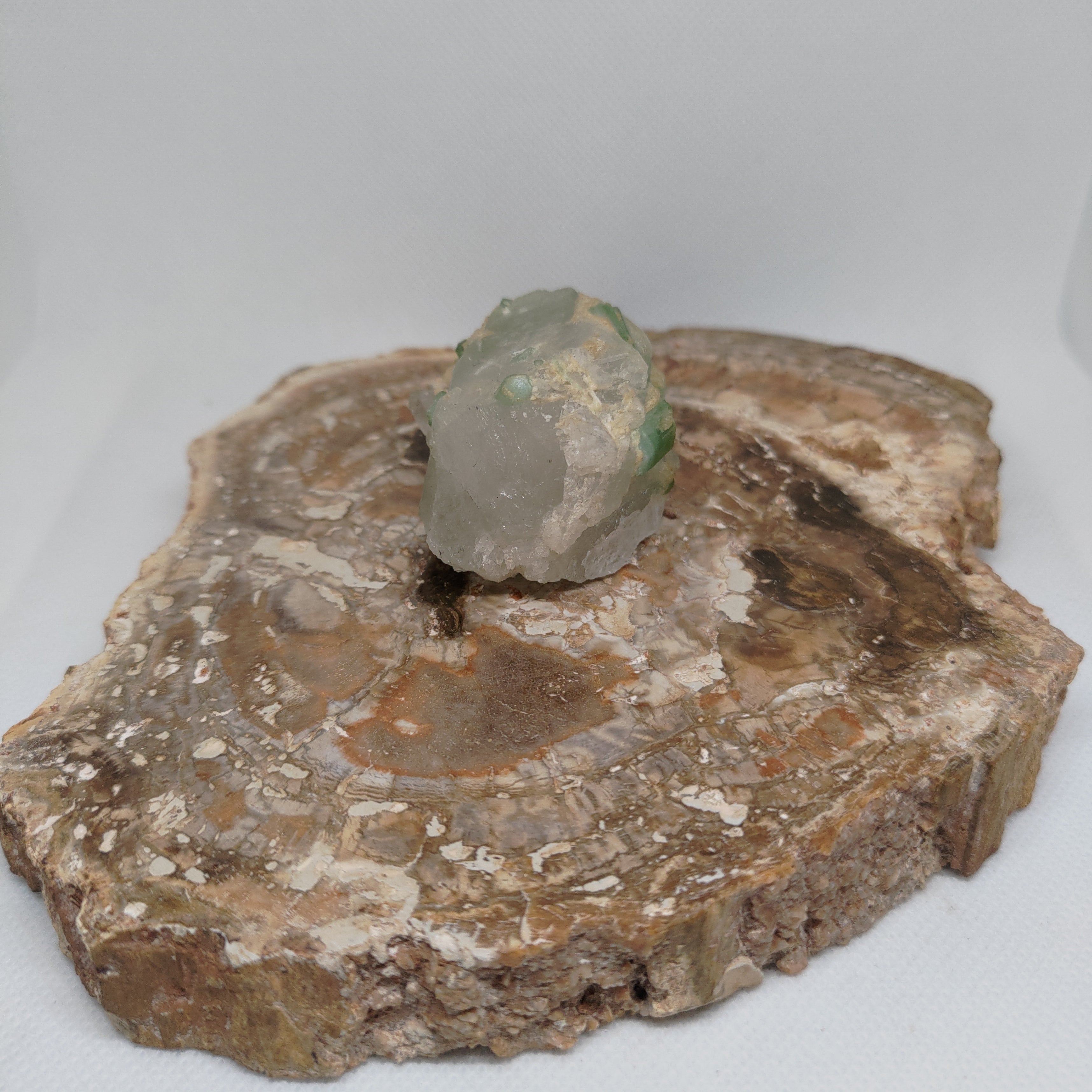 Green Tourmaline in Quartz Specimen from Pakistan Ref: 0170