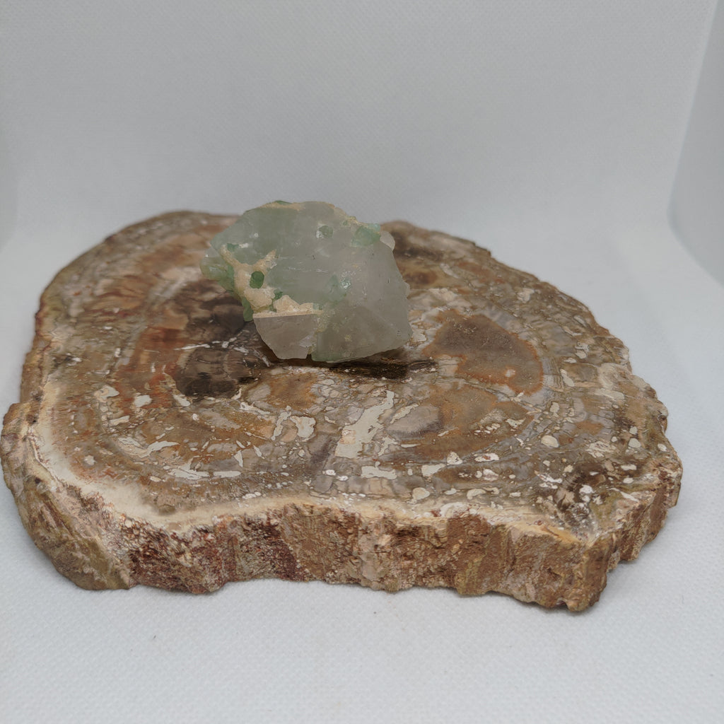 Green Tourmaline in Quartz Specimen from Pakistan Ref: 0170