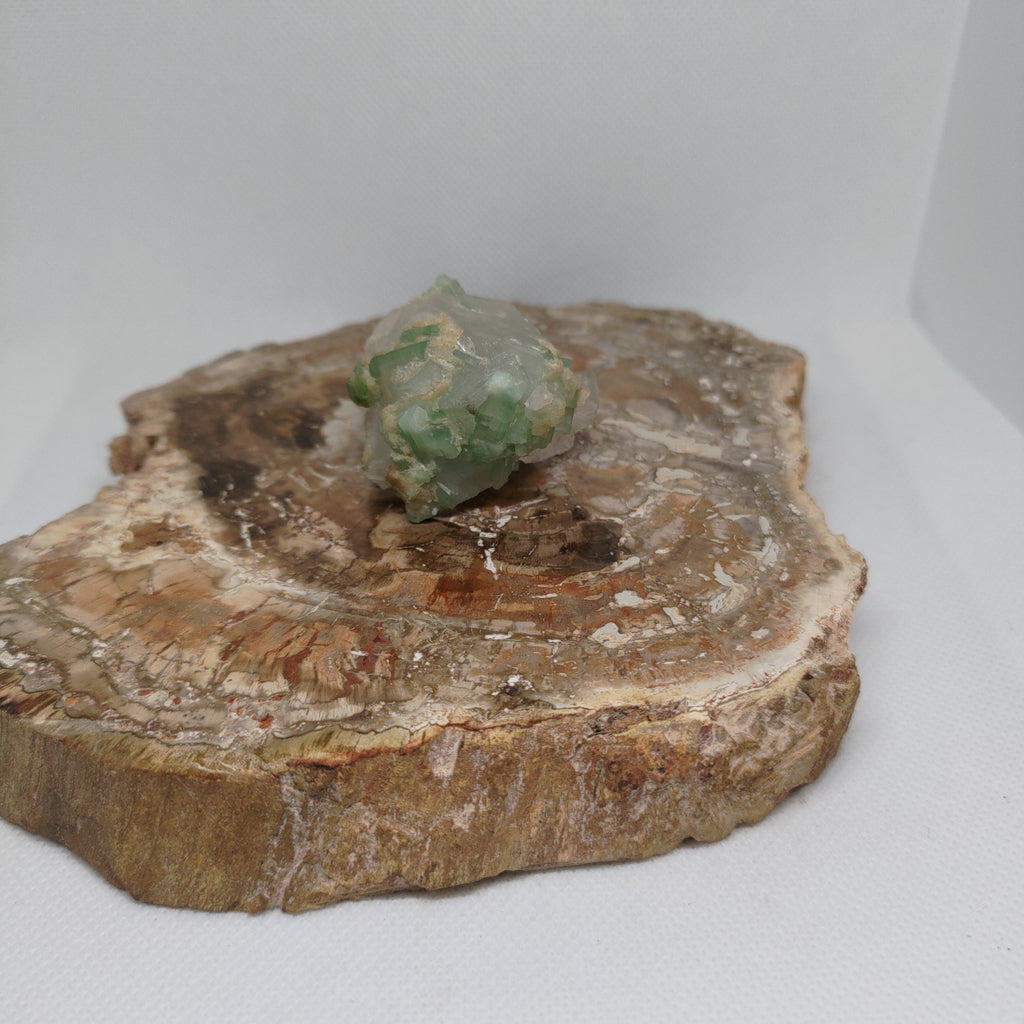 Green Tourmaline in Quartz Specimen from Pakistan Ref: 0170
