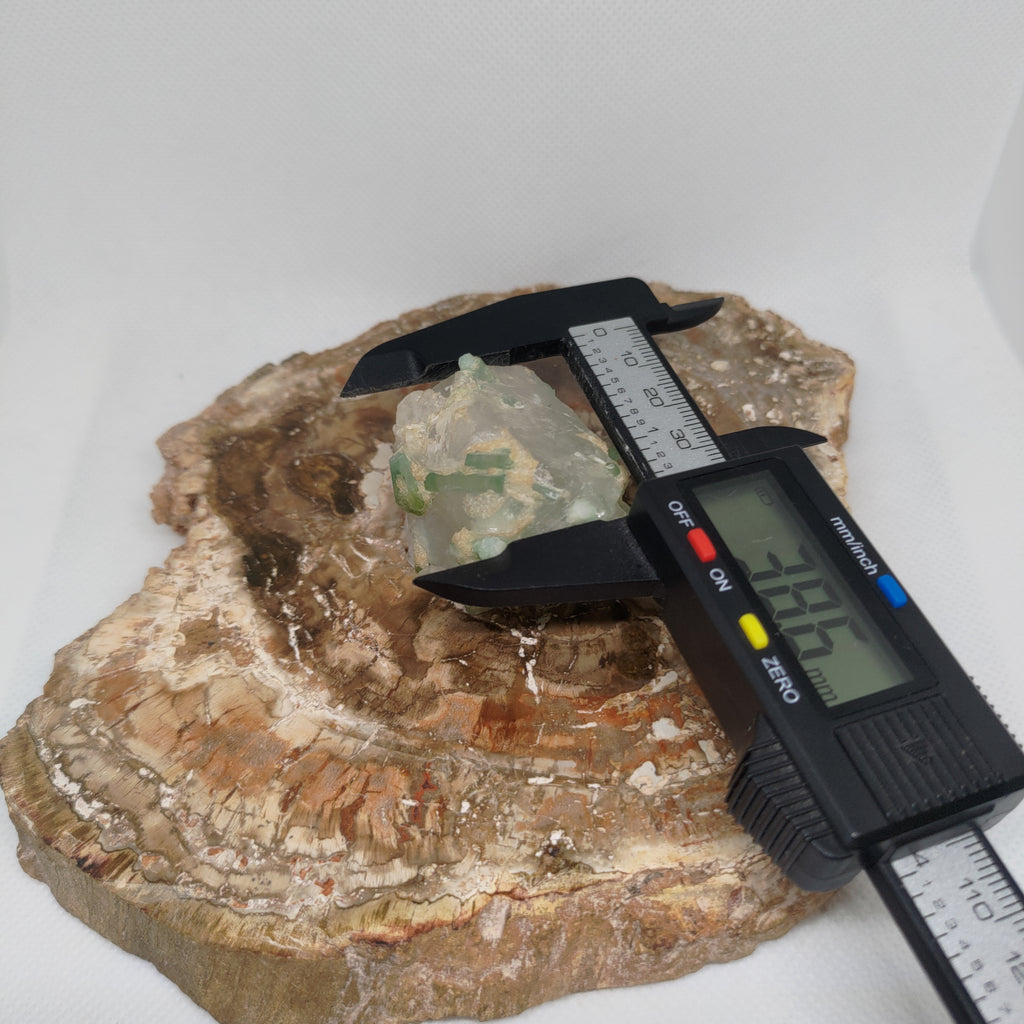 Green Tourmaline in Quartz Specimen from Pakistan Ref: 0170