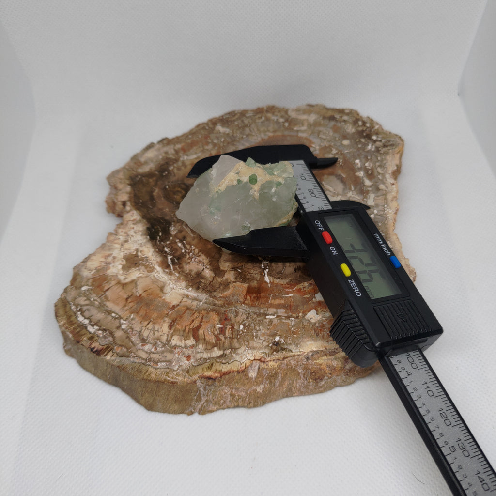 Green Tourmaline in Quartz Specimen from Pakistan Ref: 0170