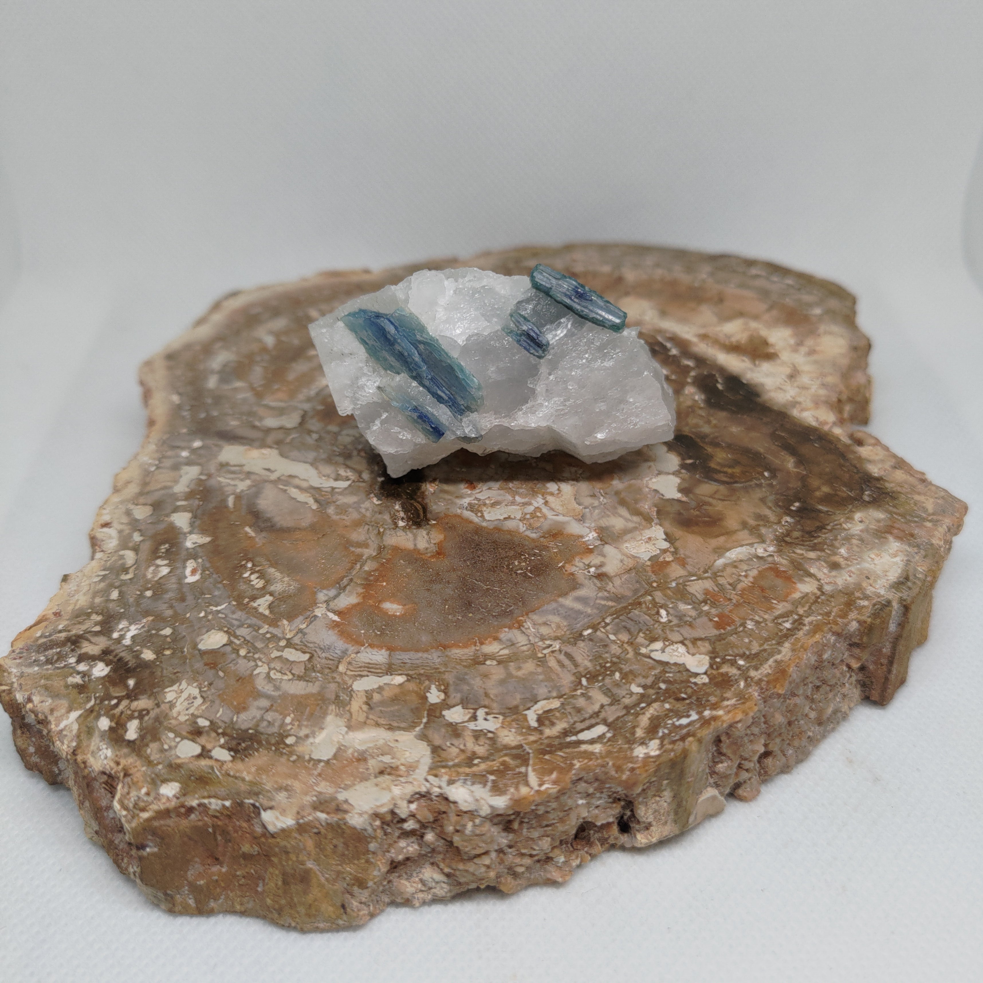 Blue Kyanite in Quartz Specimen from Pakistan Ref: 0171